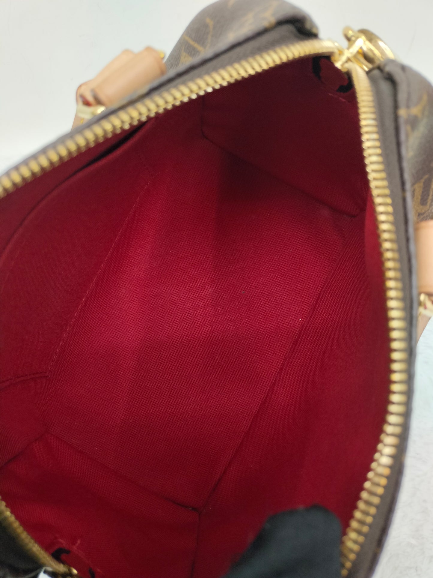 LV Speedy 20 Bandou Monogram 2023 (CHIP)