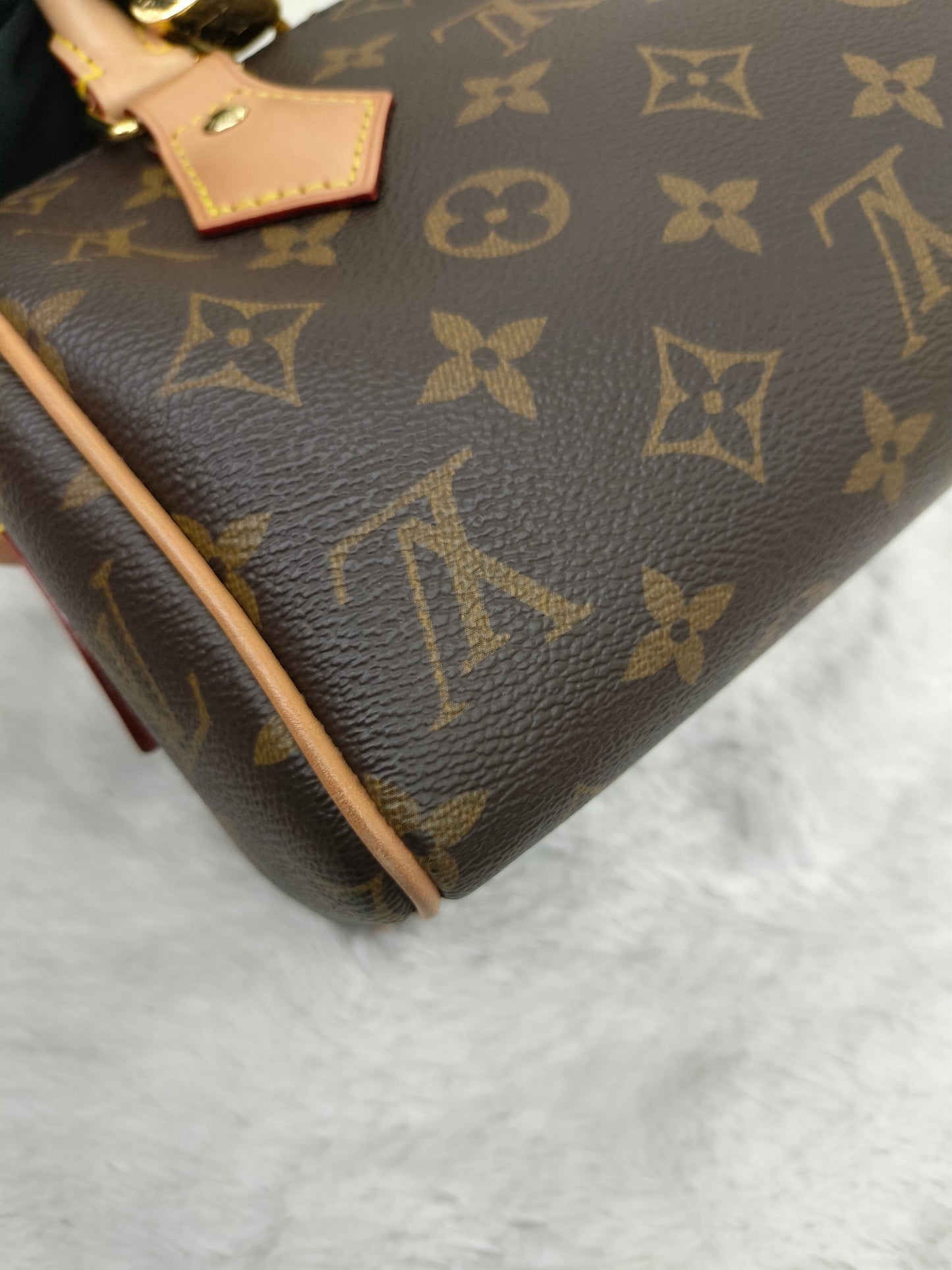 LV Speedy 20 Bandou Monogram 2023 (CHIP)