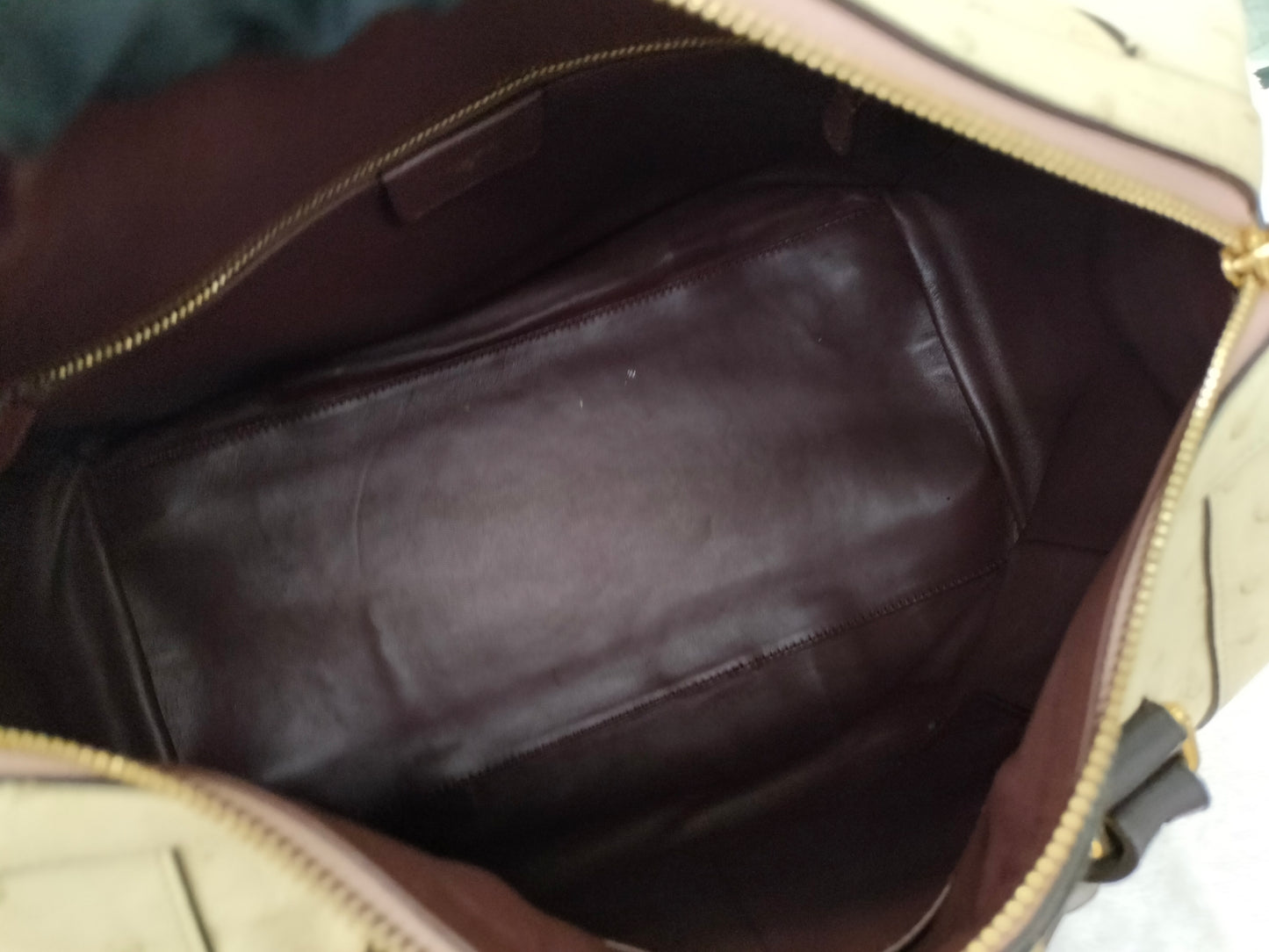 Loewe Fusta Ostrich Anagram Beige Brown GHW 2011