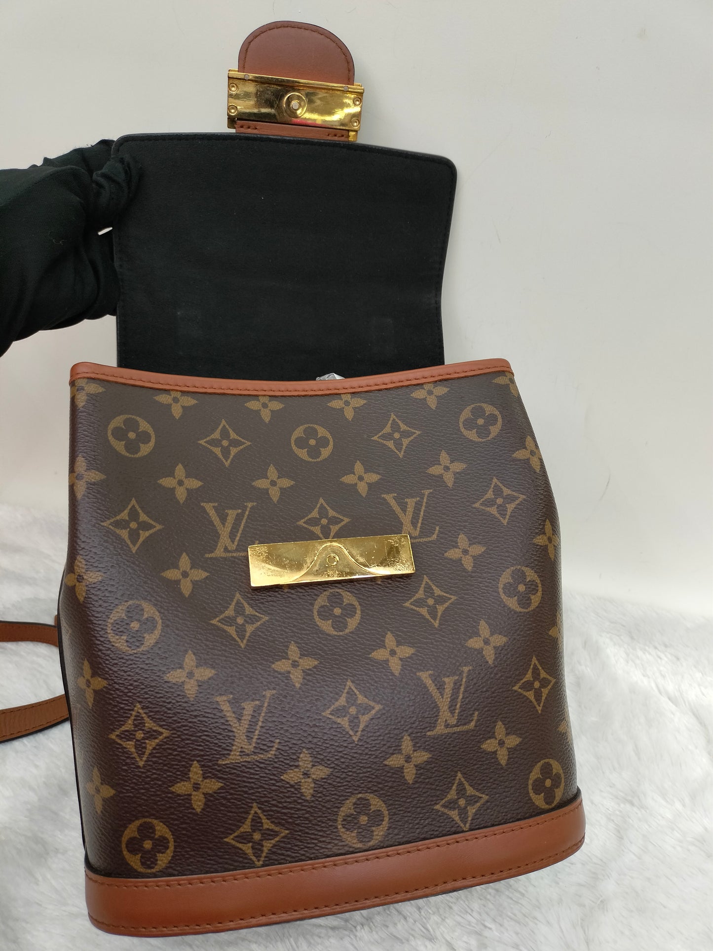 LV Dauphine Backpack PM Monogram Reverse 2020