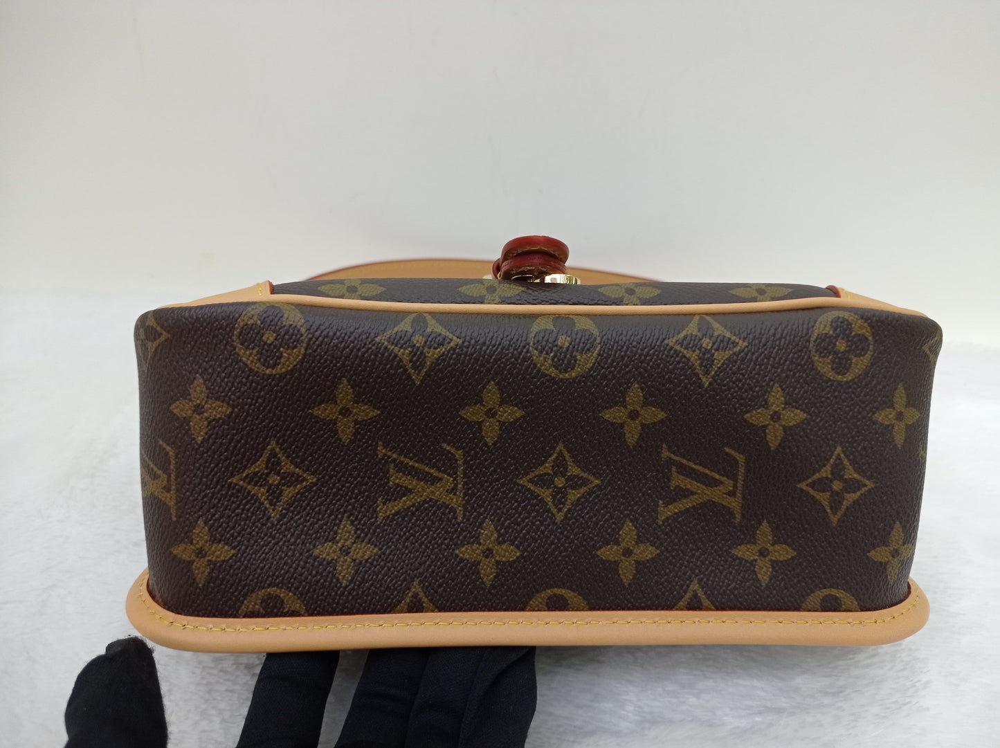 *NEW* LV Diane Monogram Noir 2025 (CHIP)