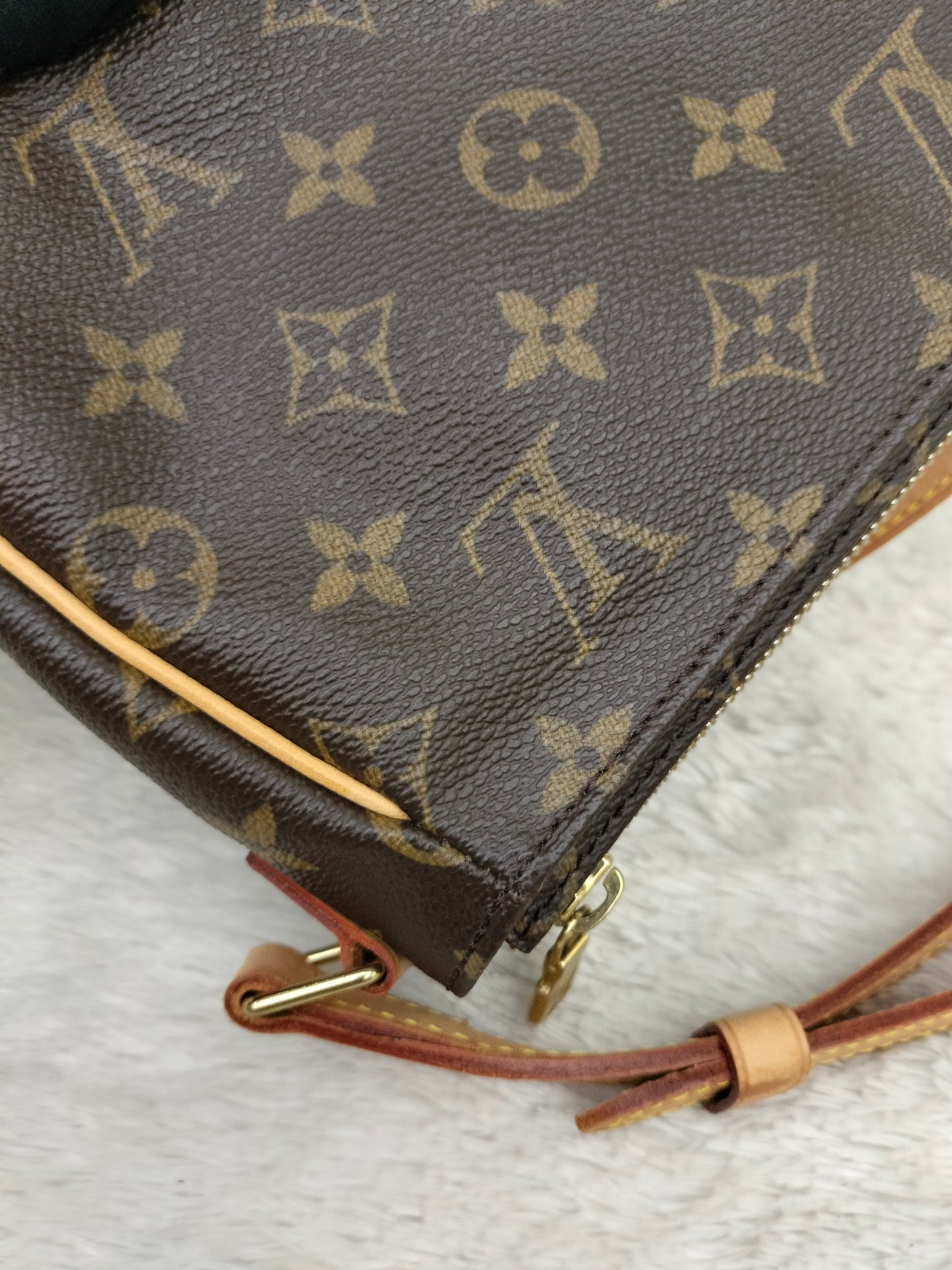 LV Viva Cite PM Monogram