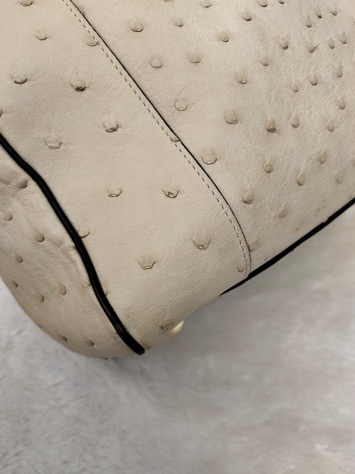 Loewe Fusta Ostrich Anagram Beige Brown GHW 2011