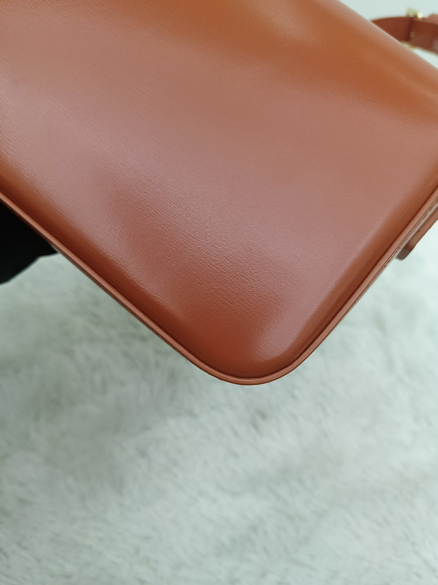 Celine Triomphe East West Calfskin Cornelian GHW 2022