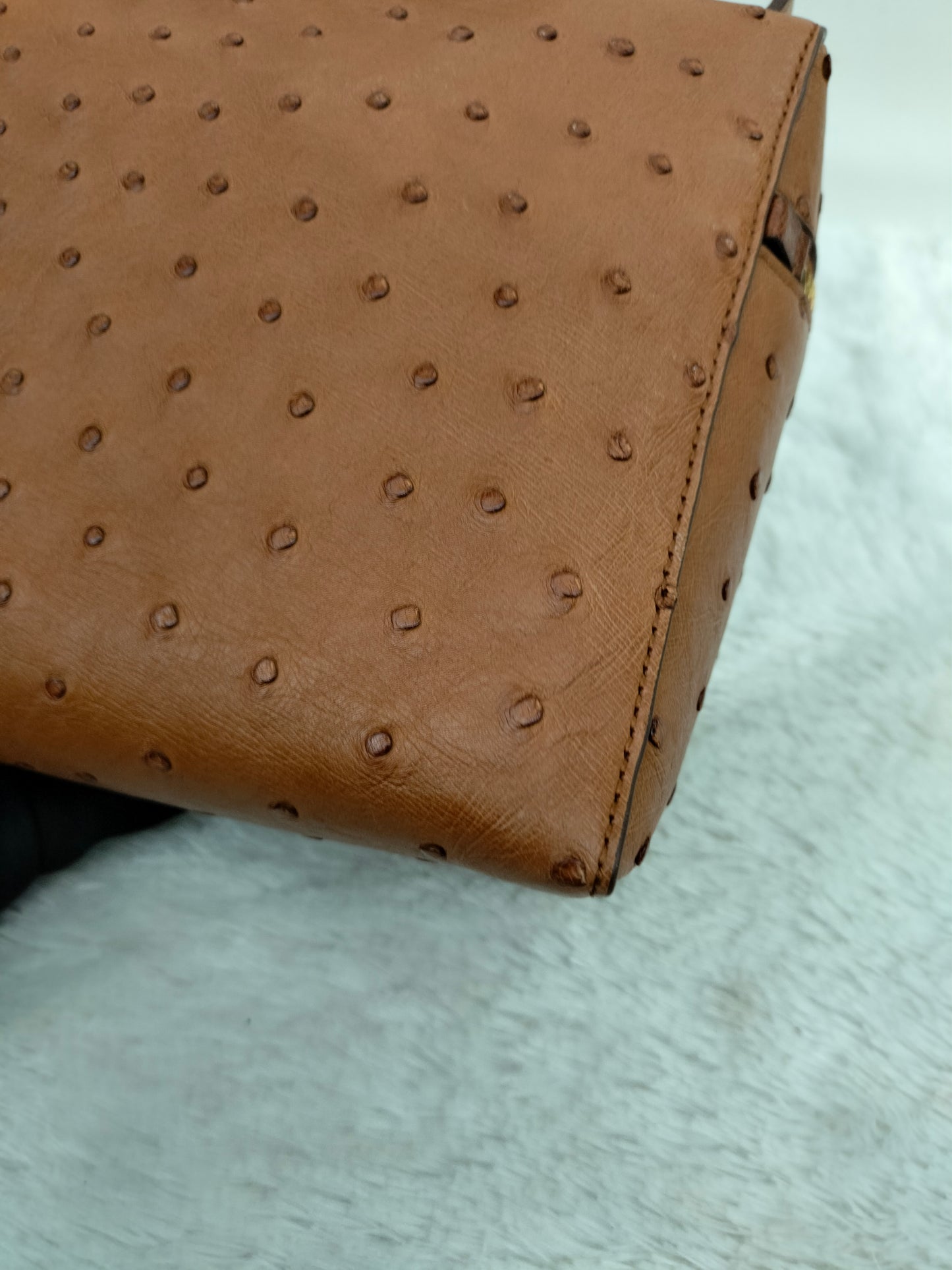 Loro Piana 27 Extra Bag Ostrich Cognac GHW 2024