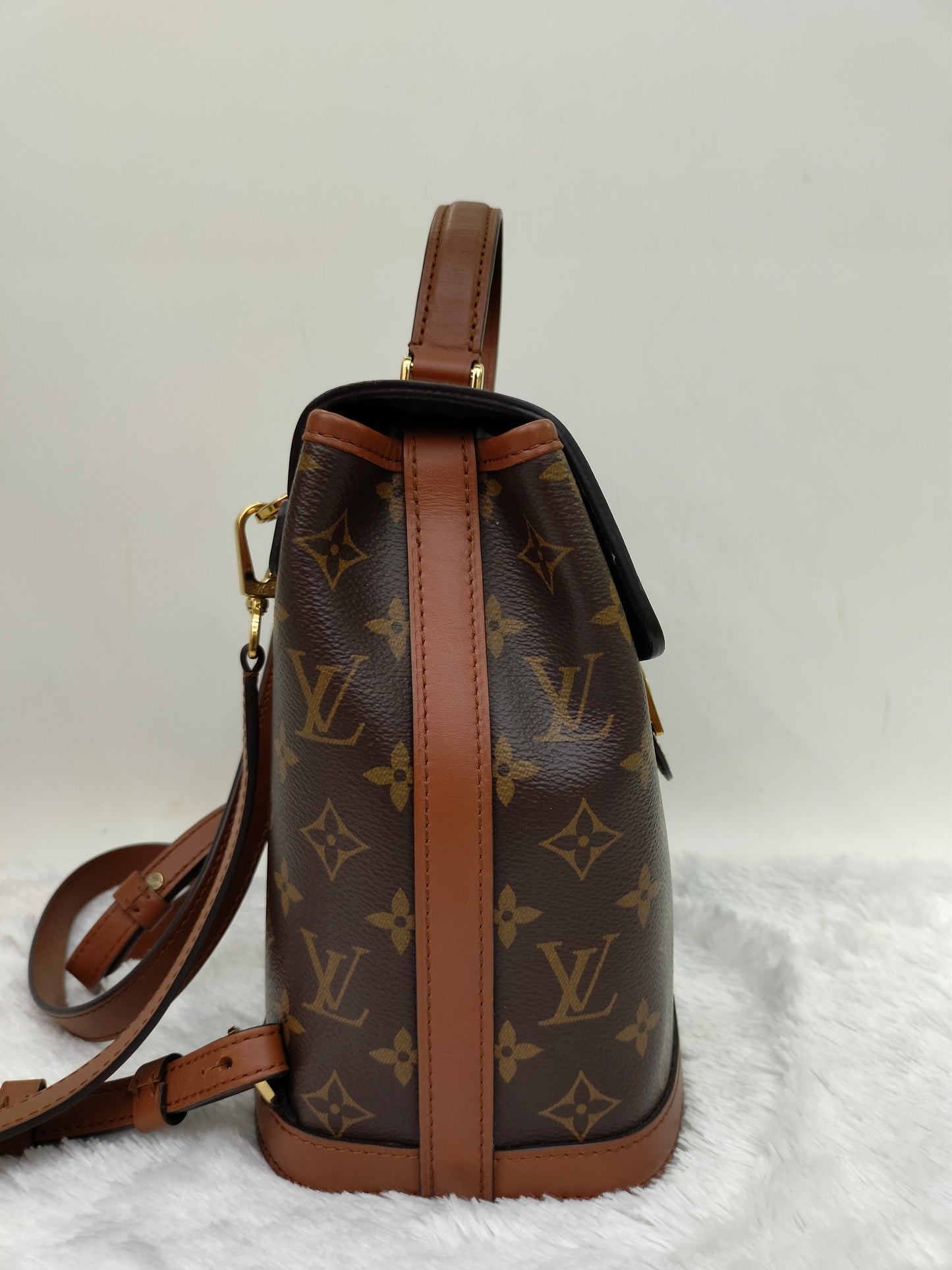 LV Dauphine Backpack PM Monogram Reverse 2020