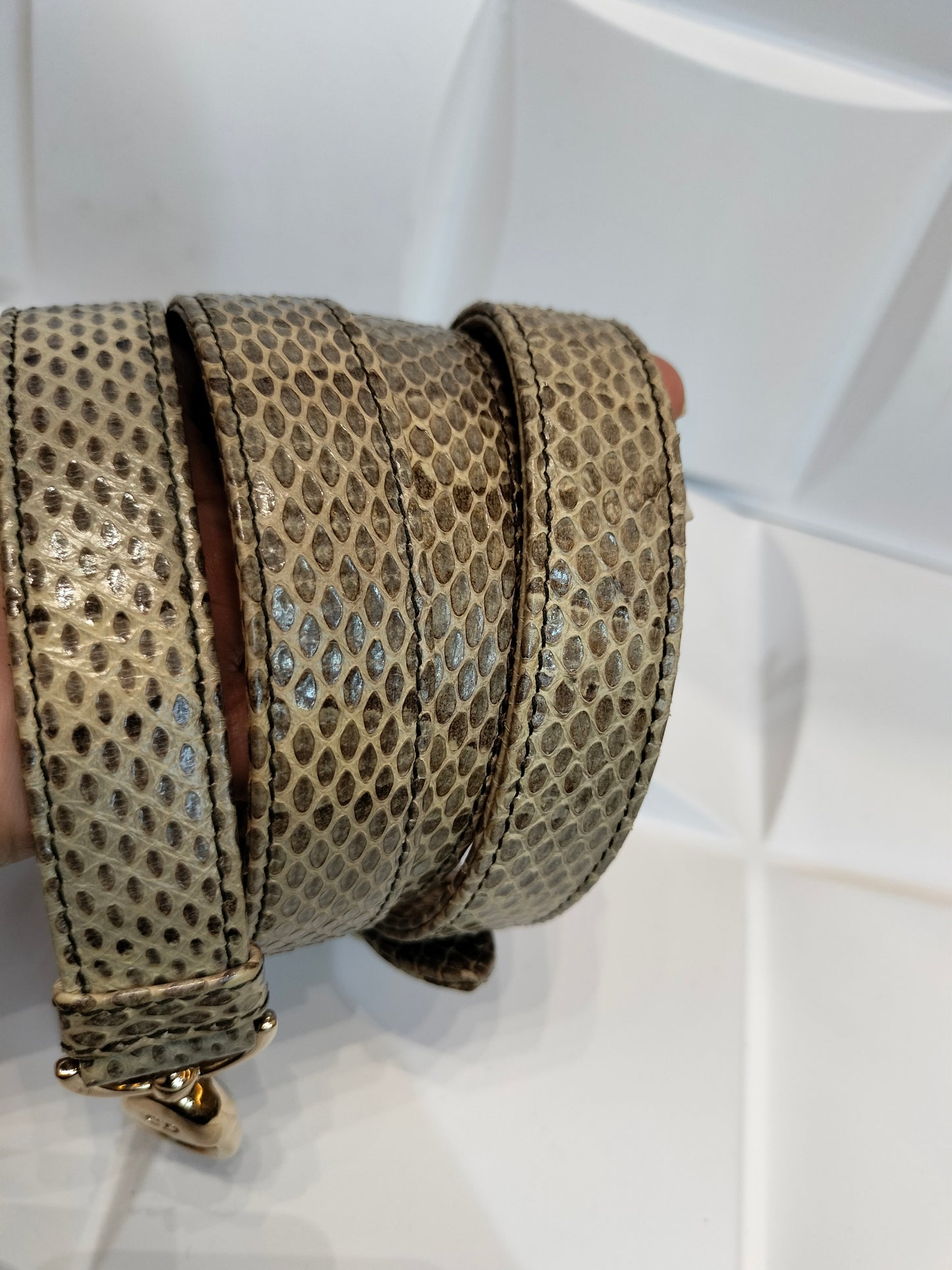Lady Dior Small Python GHW 2018