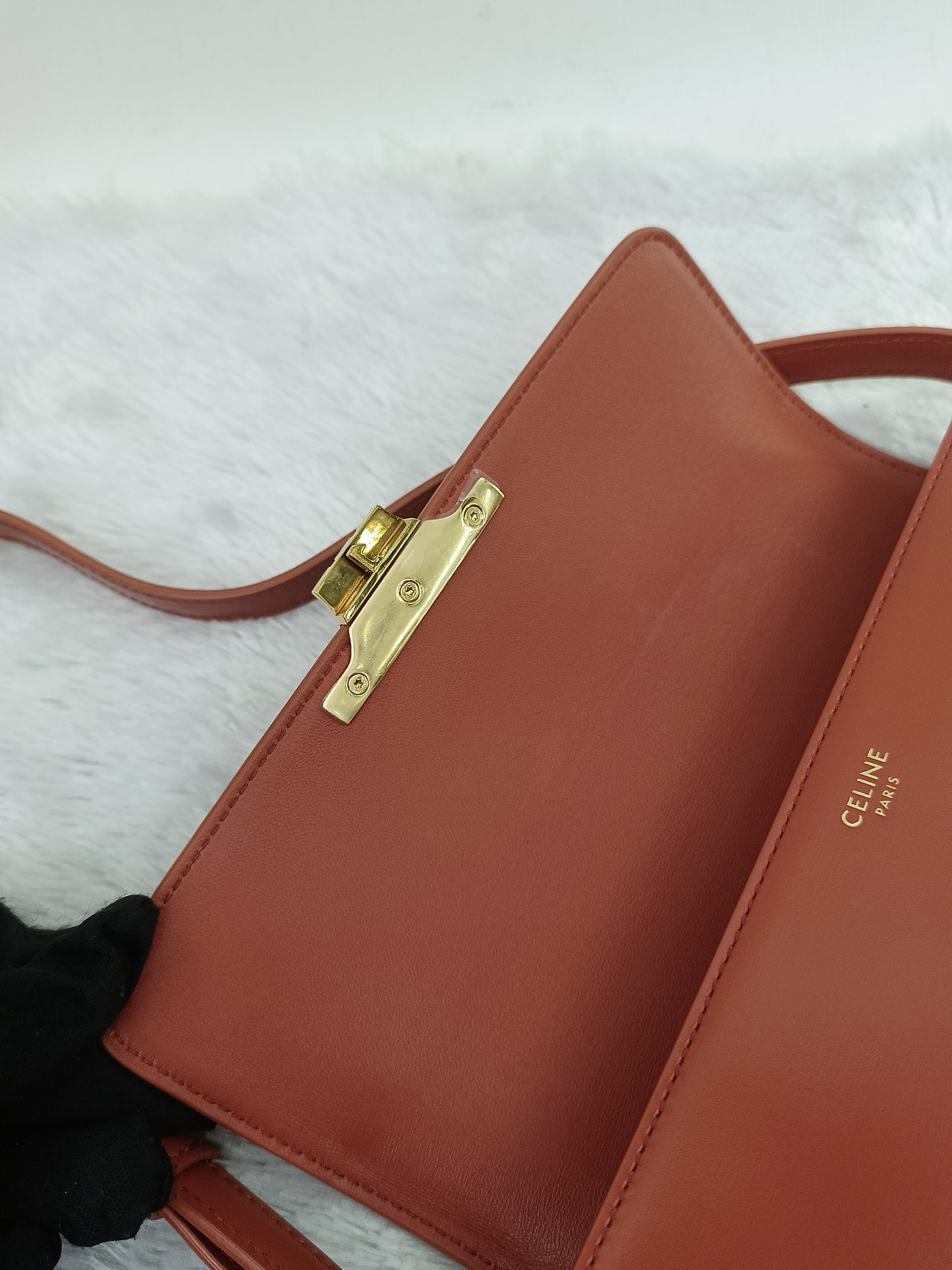 Celine Triomphe East West Calfskin Cornelian GHW 2022