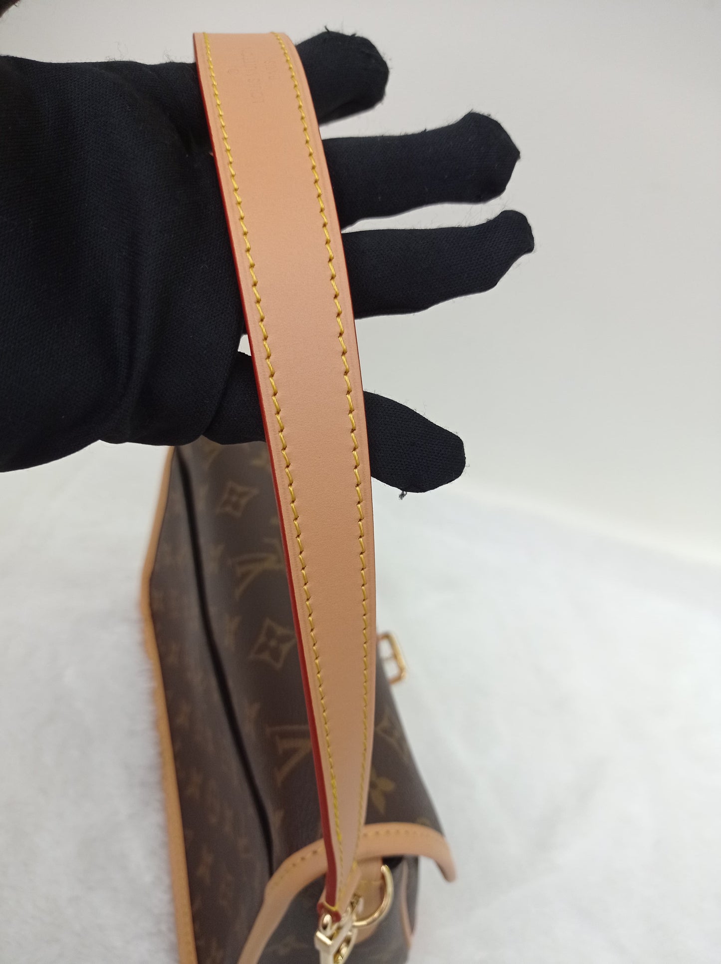 *NEW* LV Diane Monogram Noir 2025 (CHIP)