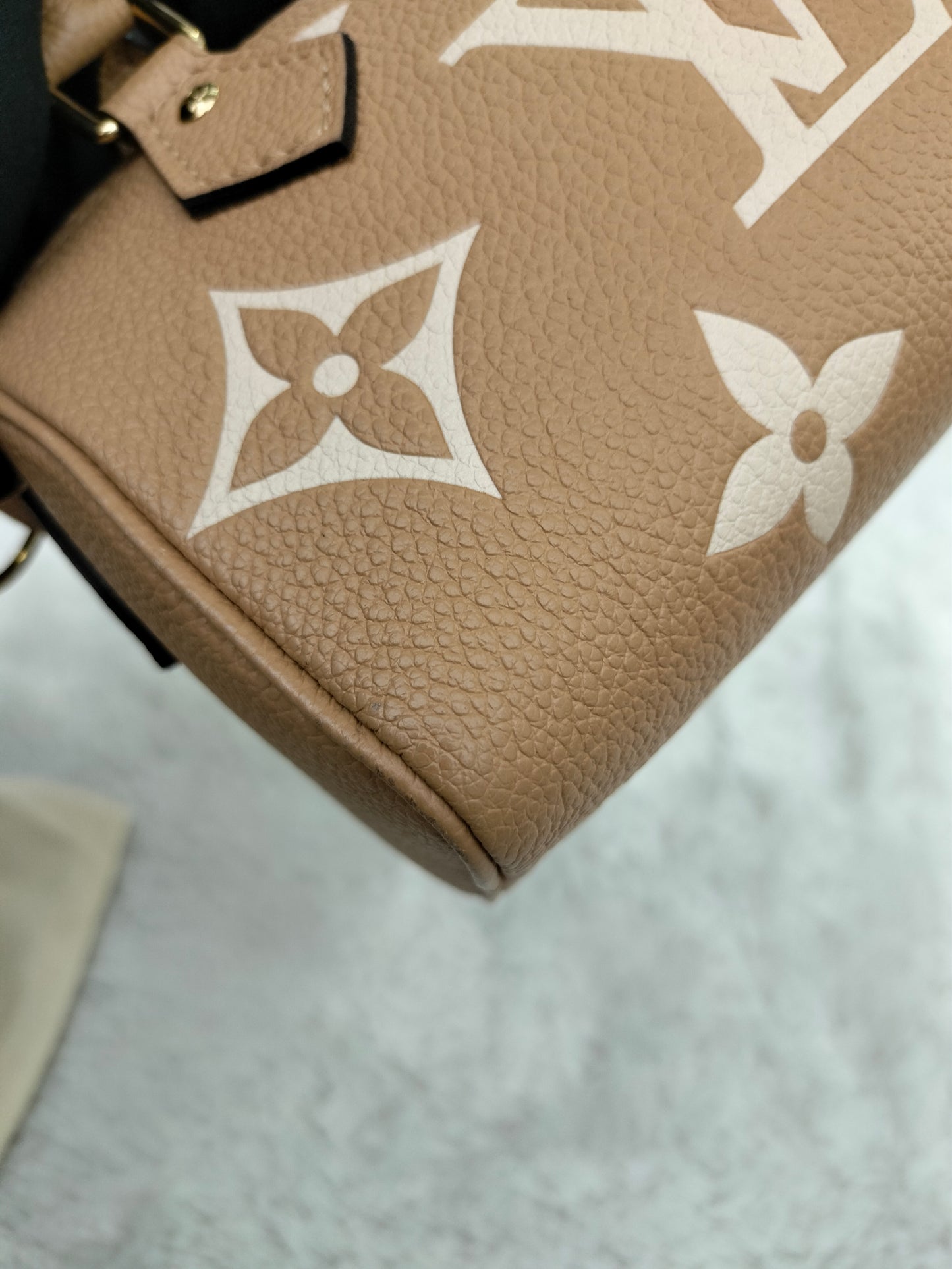 LV Nano Speedy Monogram Empreinte Arizona Creme (CHIP)