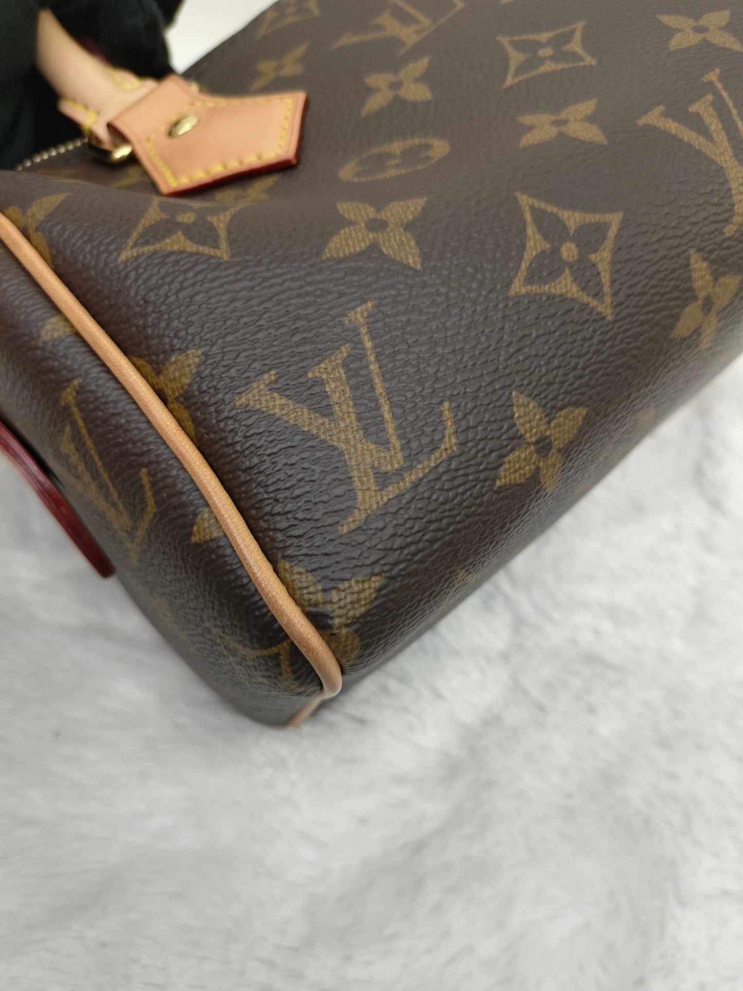 LV Speedy 20 Bandou Monogram 2023 (CHIP)