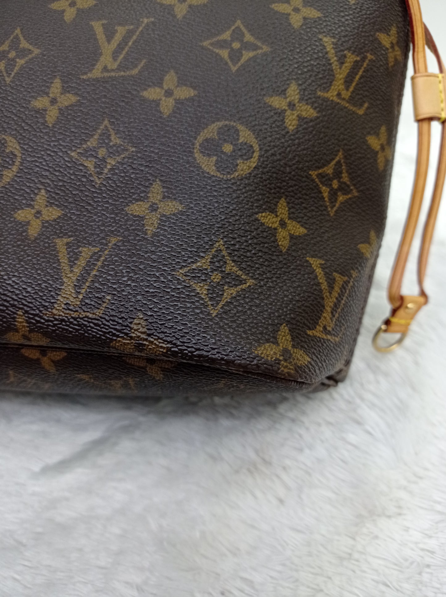 LV Neverfull PM Monogram
