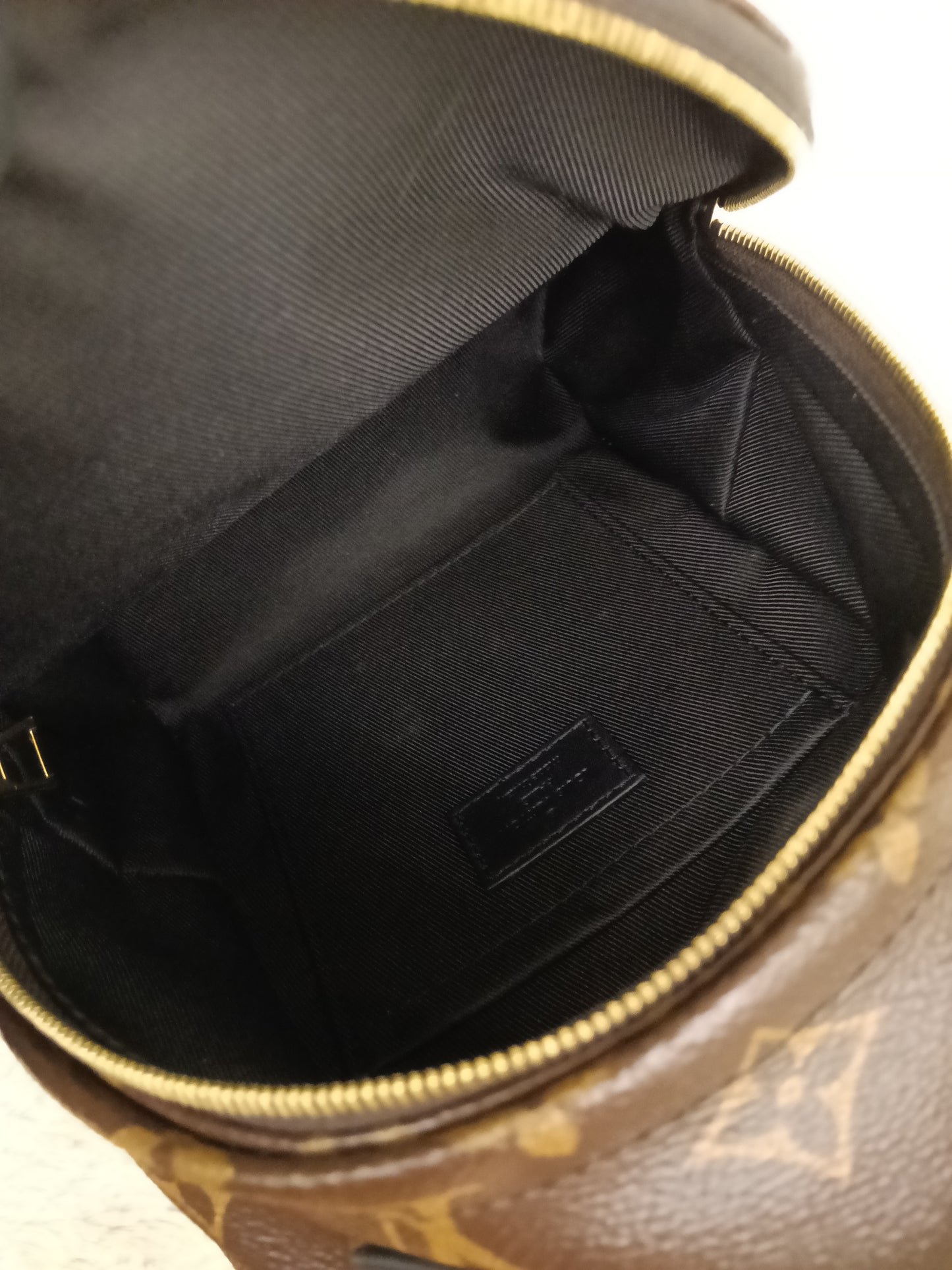 LV Palm Springs Mini NV Monogram (CHIP)