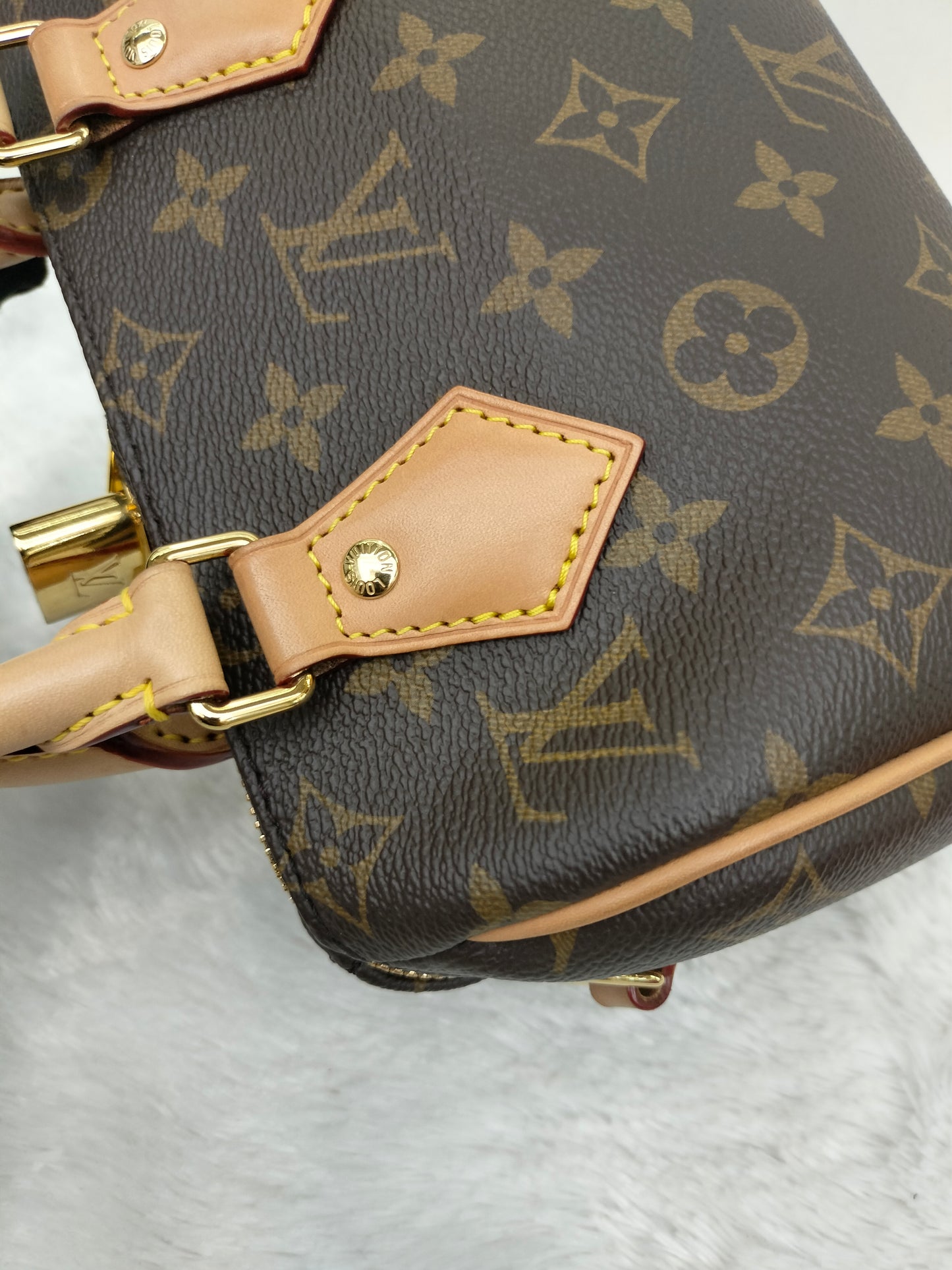 LV Speedy 20 Bandou Monogram 2023 (CHIP)
