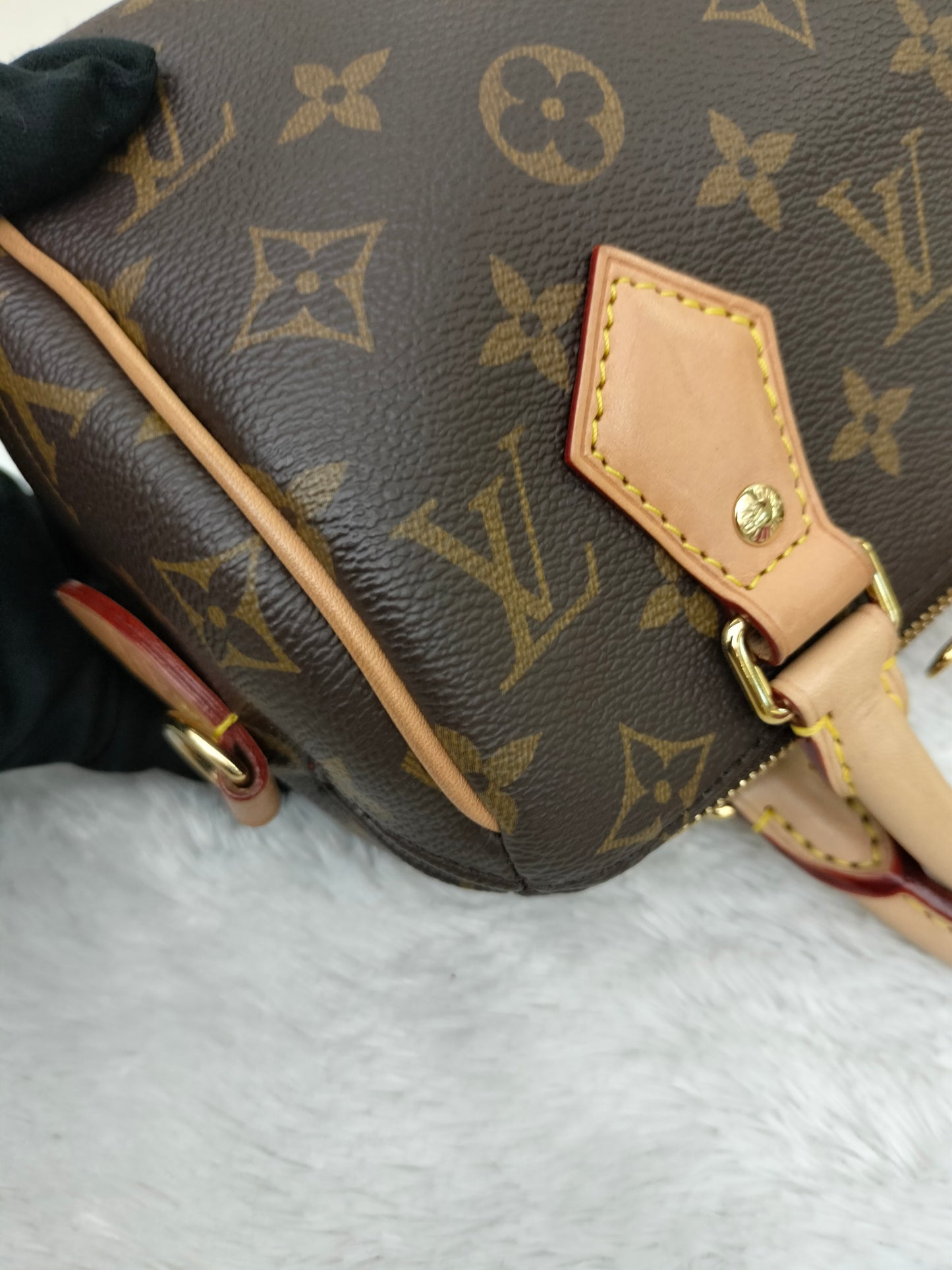 LV Speedy 20 Bandou Monogram 2023 (CHIP)