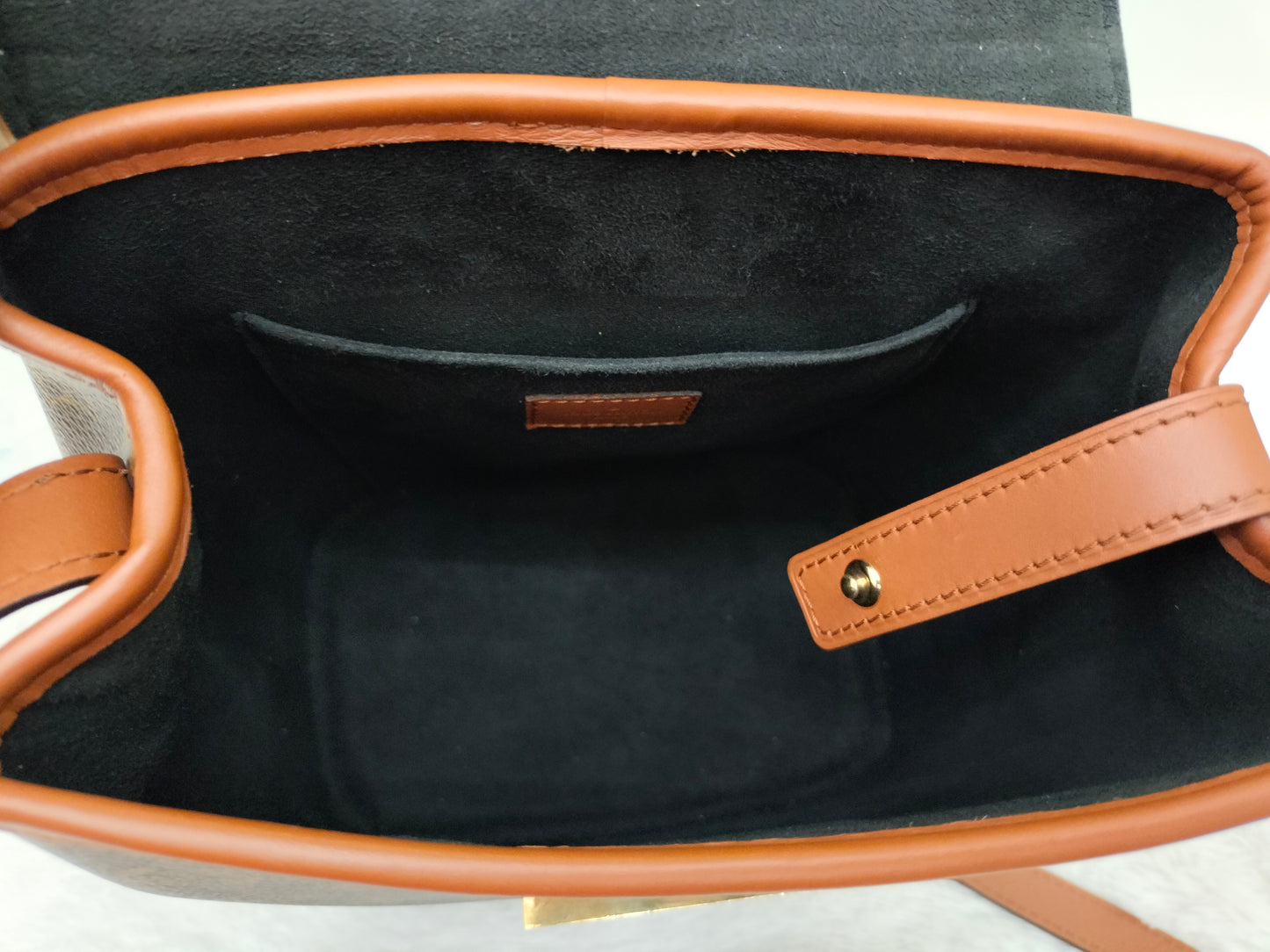 LV Dauphine Backpack PM Monogram Reverse 2020