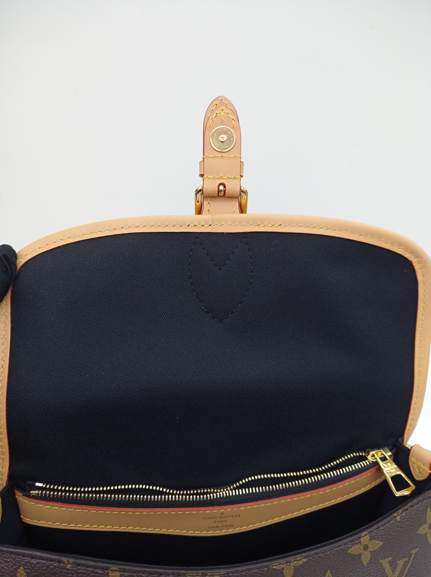 *NEW* LV Diane Monogram Noir 2025 (CHIP)
