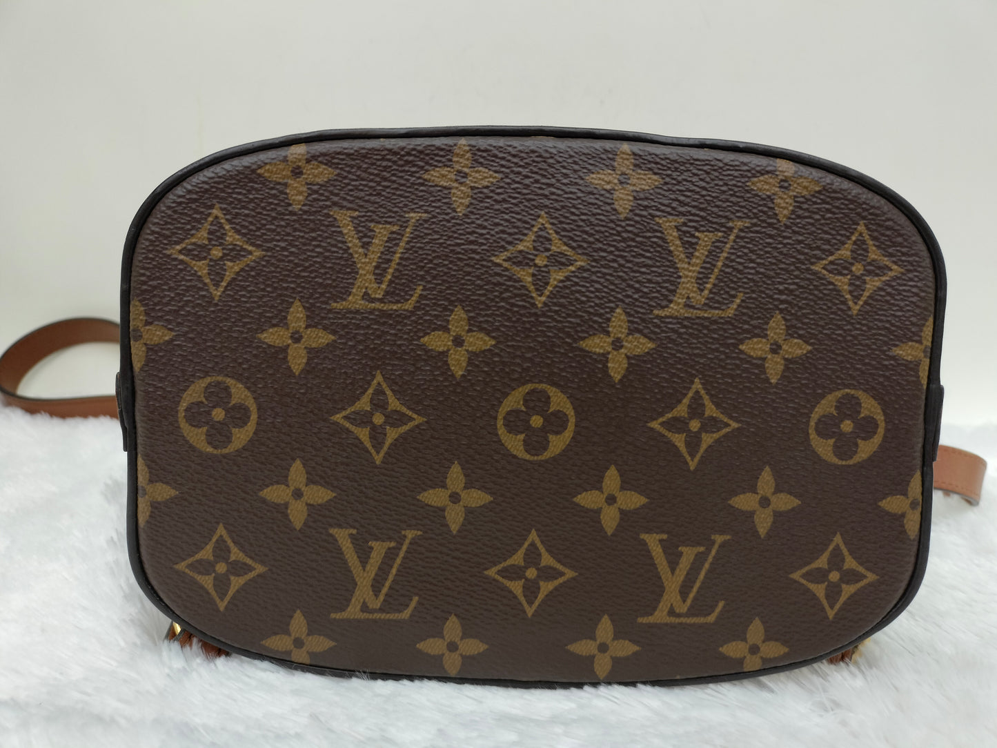 LV Dauphine Backpack PM Monogram Reverse 2020