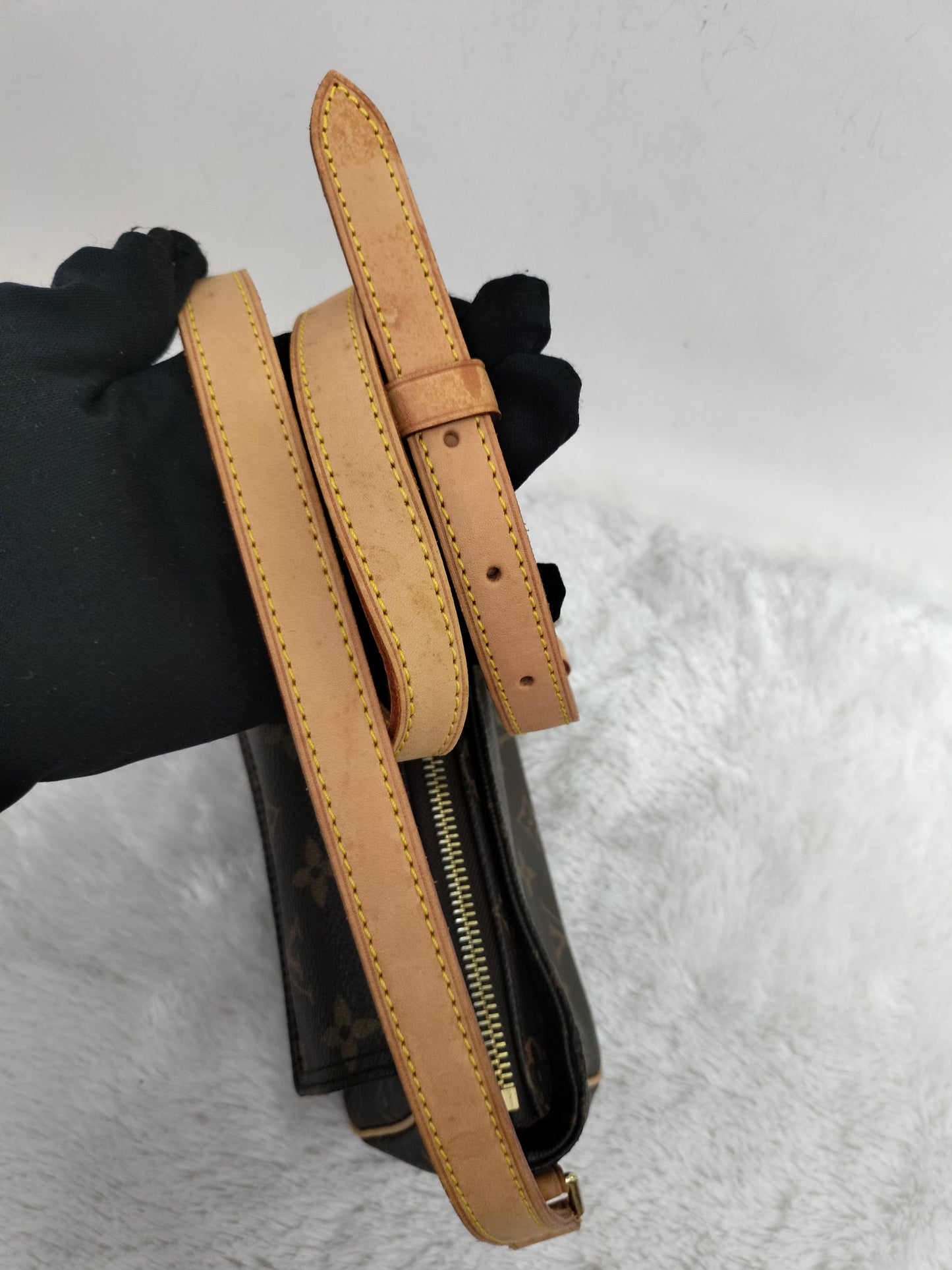 LV Viva Cite PM Monogram