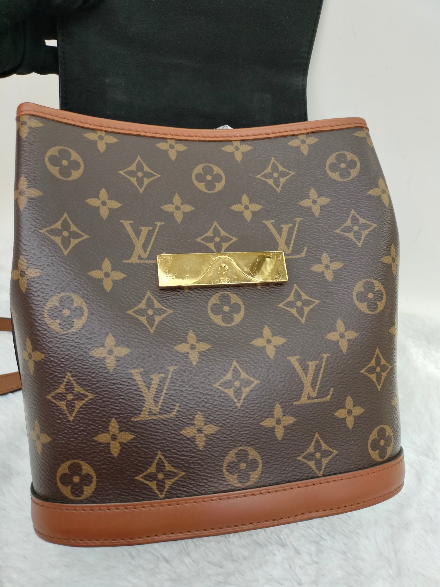 LV Dauphine Backpack PM Monogram Reverse 2020