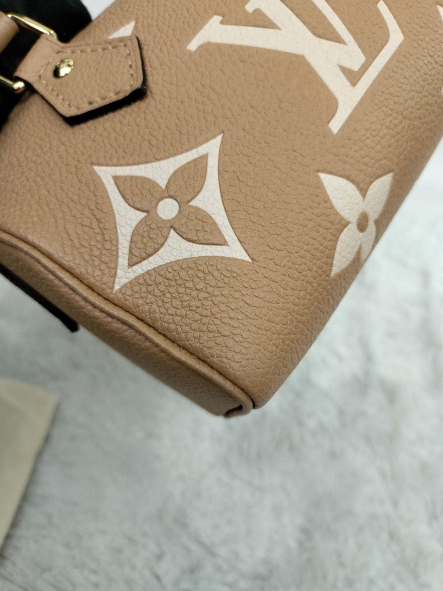 LV Nano Speedy Monogram Empreinte Arizona Creme (CHIP)