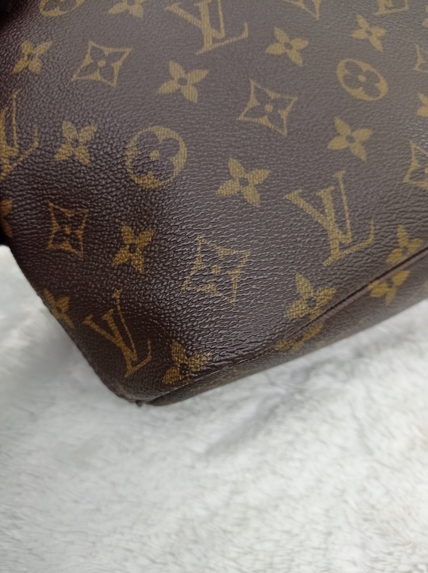 LV Neverfull PM Monogram