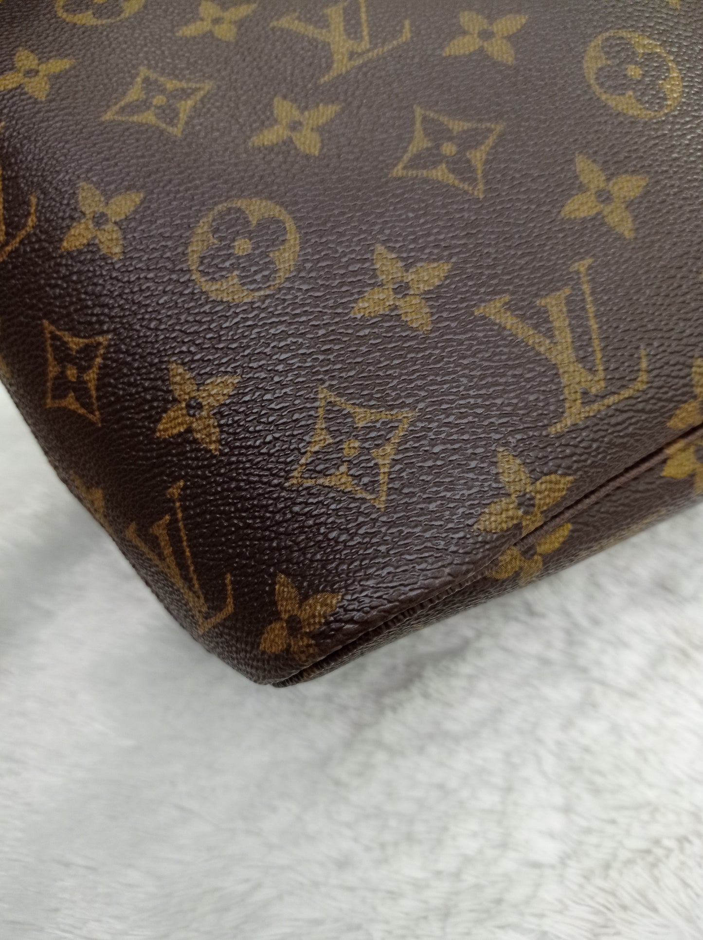 LV Neverfull PM Monogram