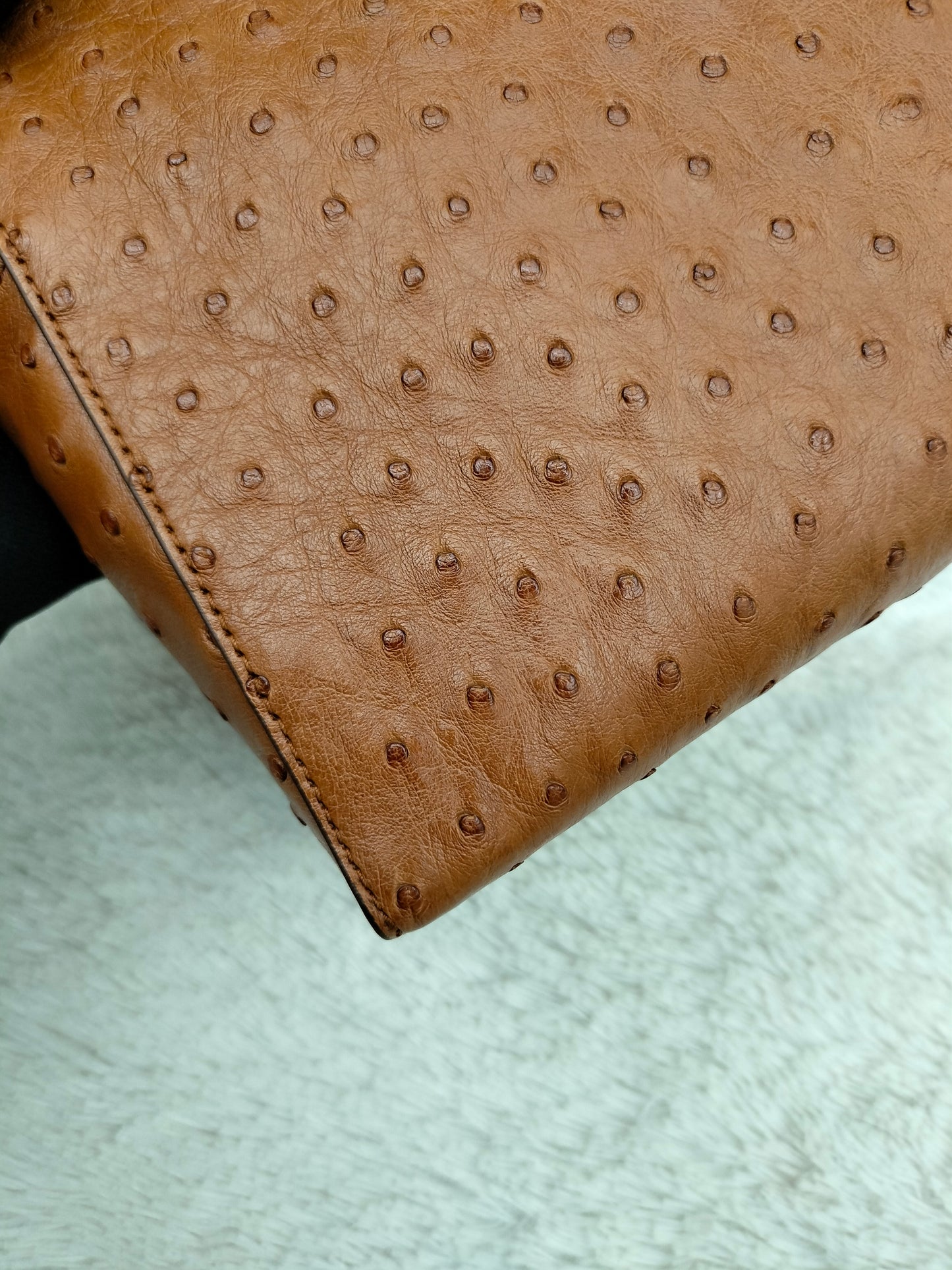 Loro Piana 27 Extra Bag Ostrich Cognac GHW 2024