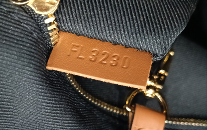 LV Hobo Dauphine PM Monogram Reverse 2020