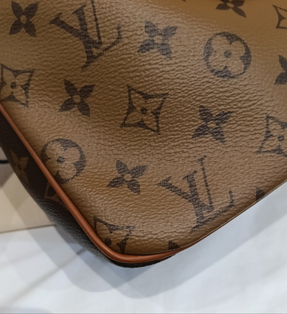 LV Hobo Dauphine PM Monogram Reverse 2020