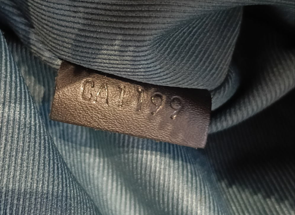 LV Alpha Messenger Damier Graphite 2019