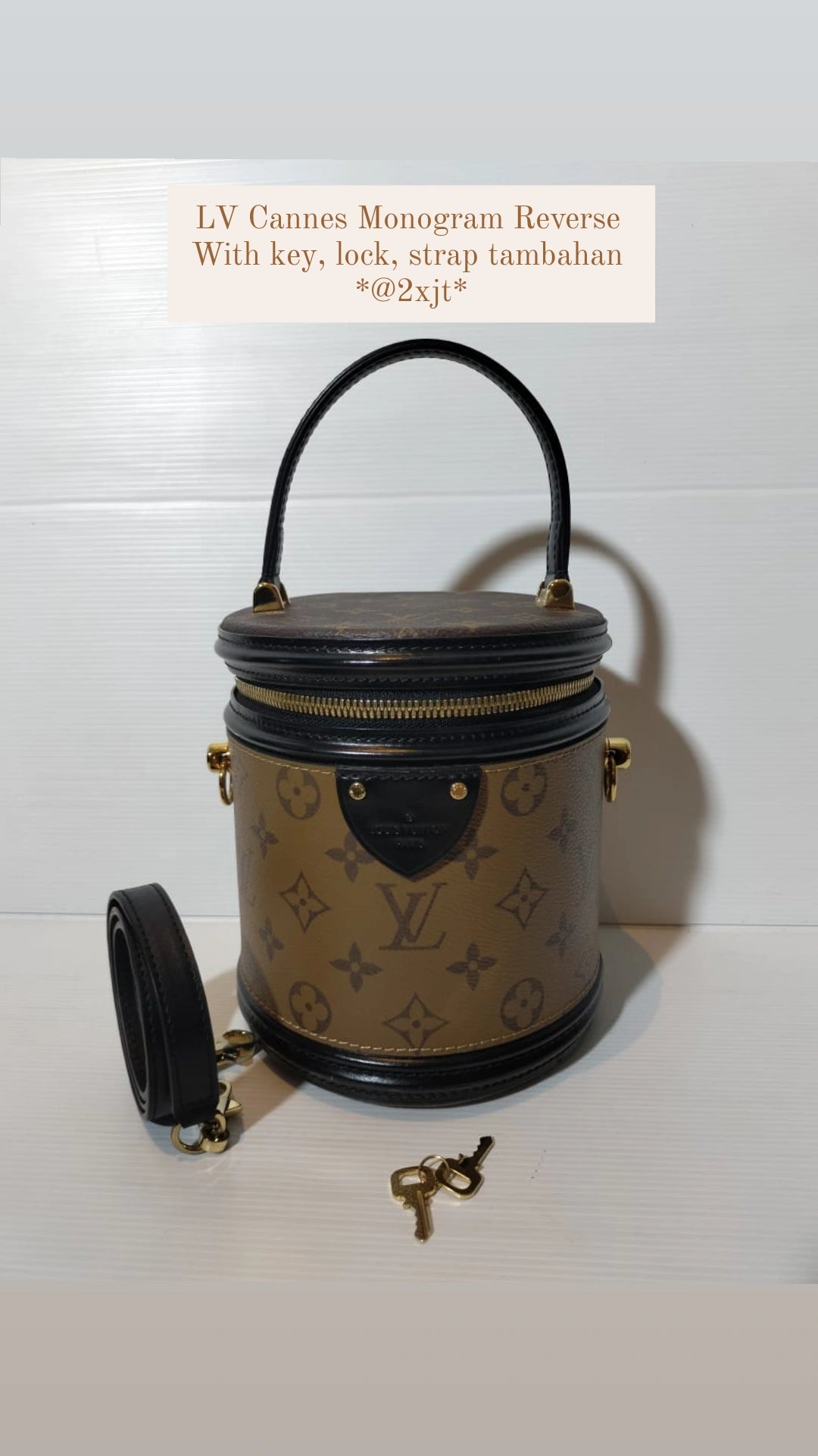 LV Cannes Monogram Reverse