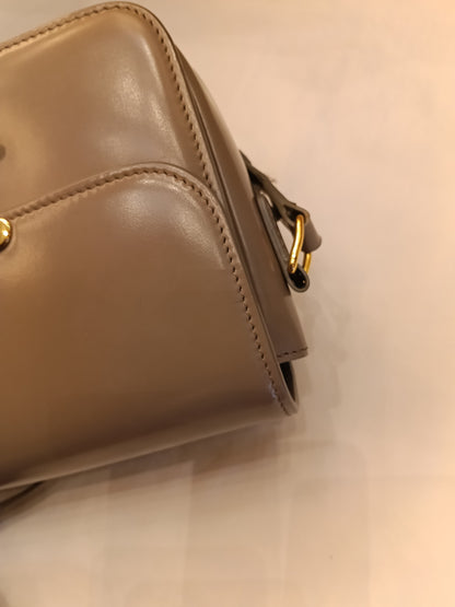 Celine Triomphe Teen Shiny Calfskin Pebble GHW 2022