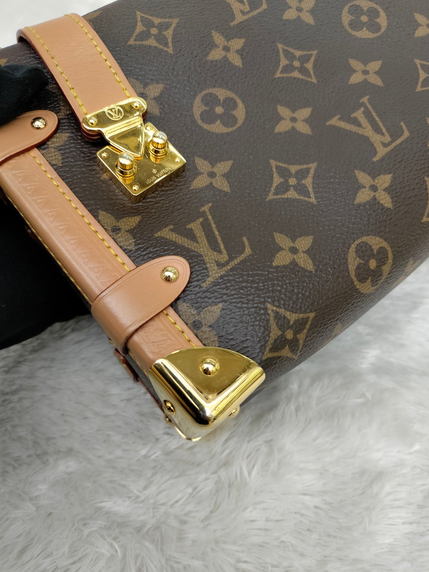 LV Side Trunk MM Monogram (CHIP)