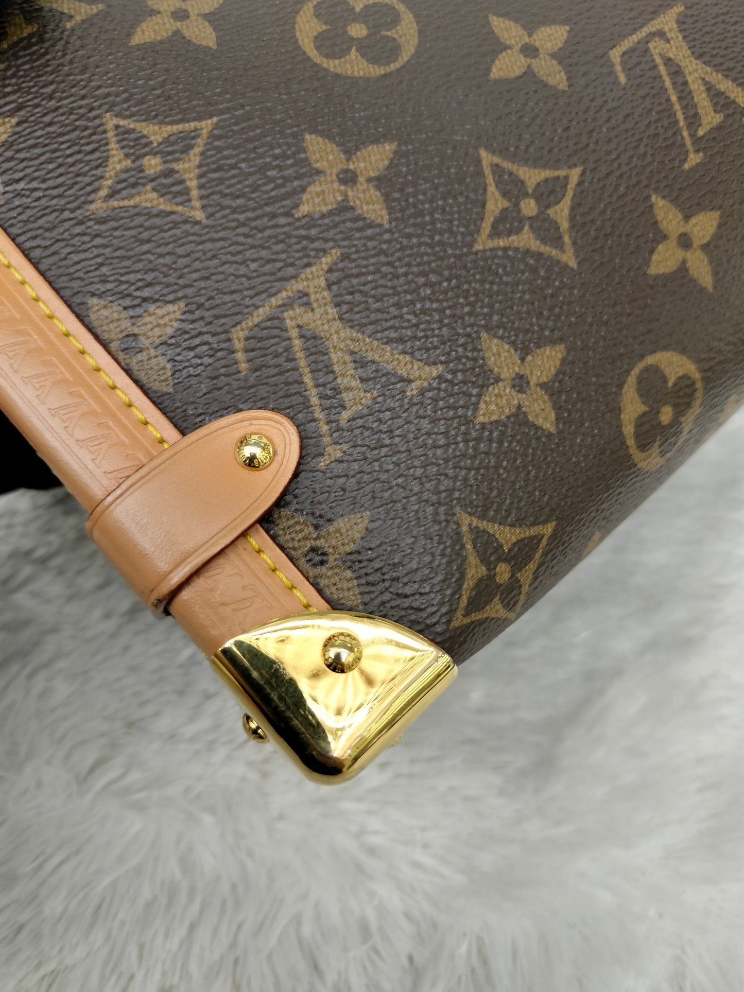 LV Side Trunk MM Monogram (CHIP)