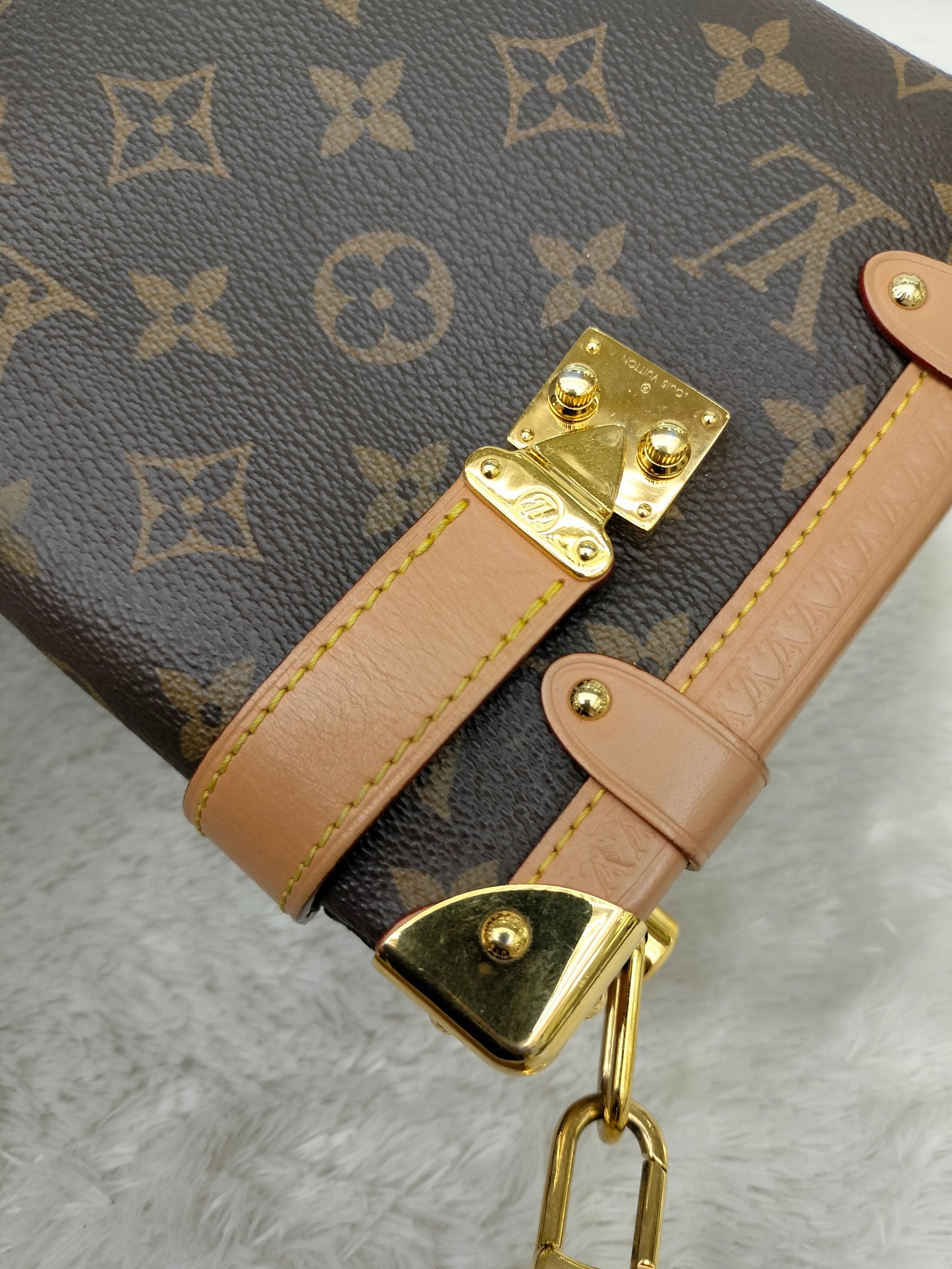 LV Side Trunk MM Monogram (CHIP)