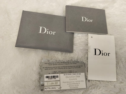 Lady Dior Medium Ostrich Baby Blue SHW 2017