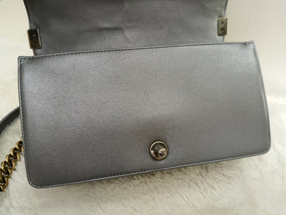 Chanel Boy 25 Calfskin Silver RGHW #19