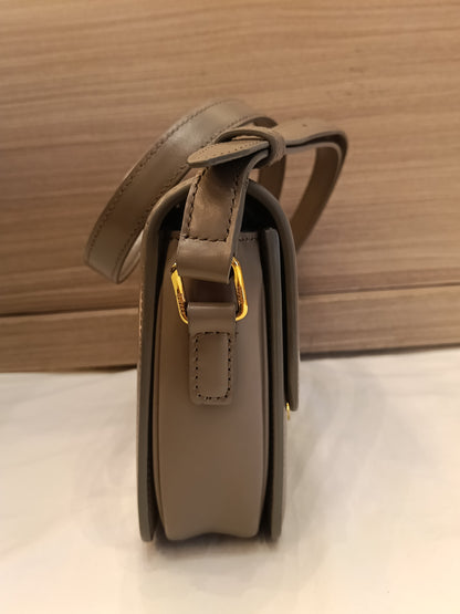 Celine Triomphe Teen Shiny Calfskin Pebble GHW 2022