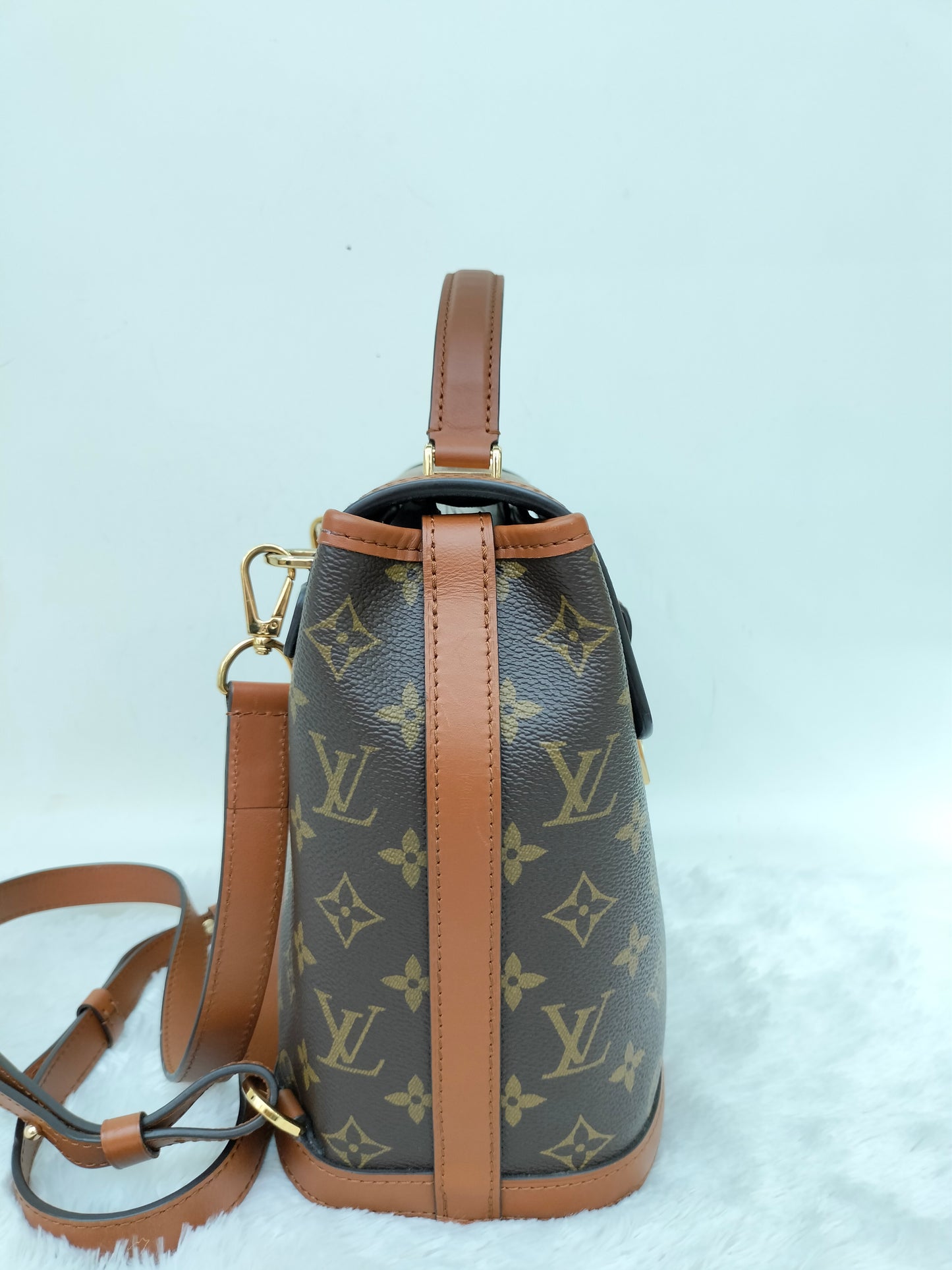 LV Dauphine Backpack Monogram Reverse 2020