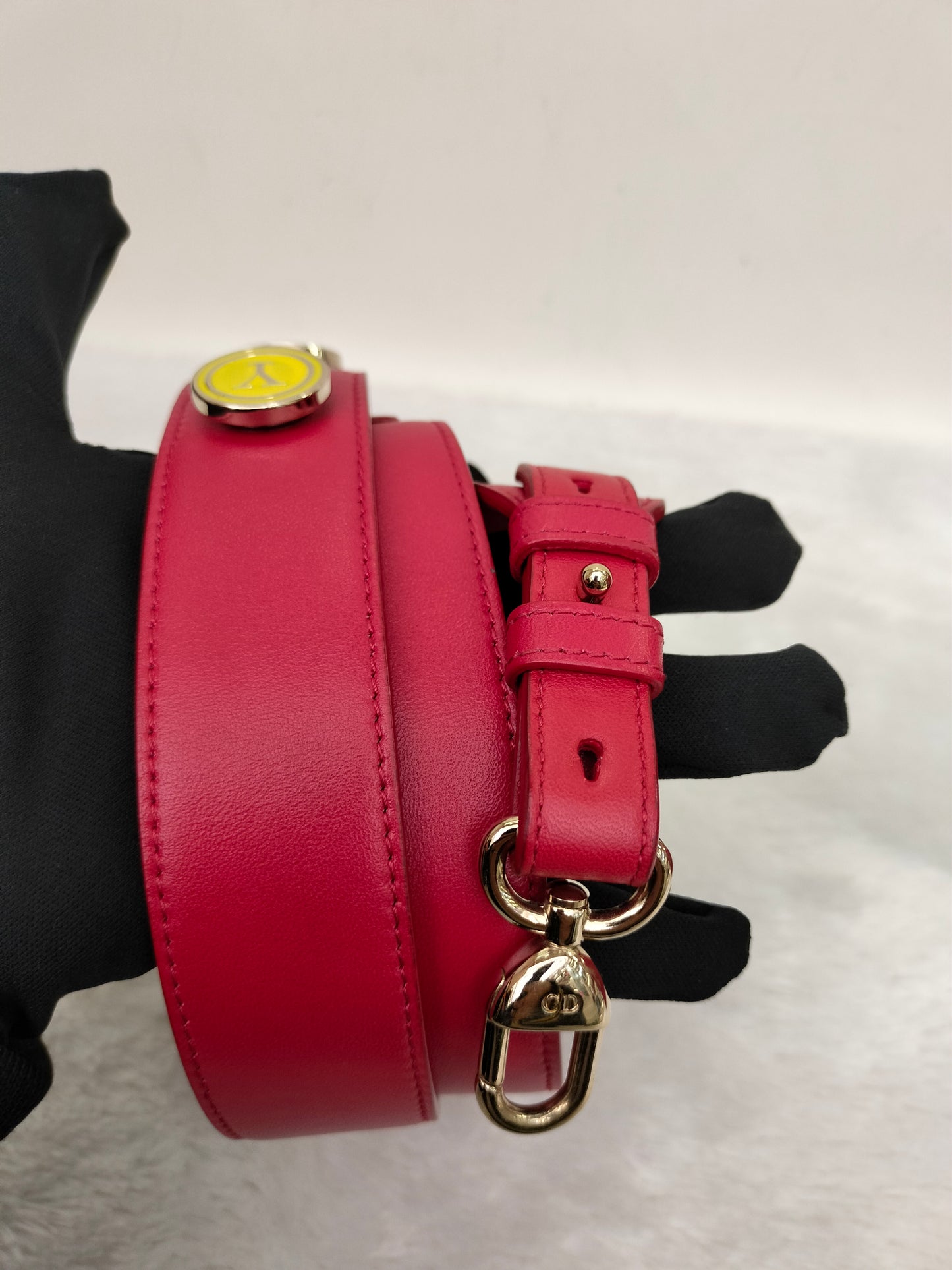 Lady Dior Small Lamb Red GHW 2016