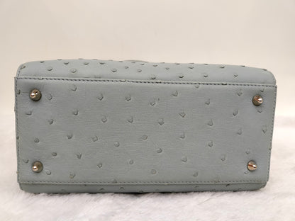 Lady Dior Medium Ostrich Baby Blue SHW 2017