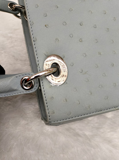 Lady Dior Medium Ostrich Baby Blue SHW 2017