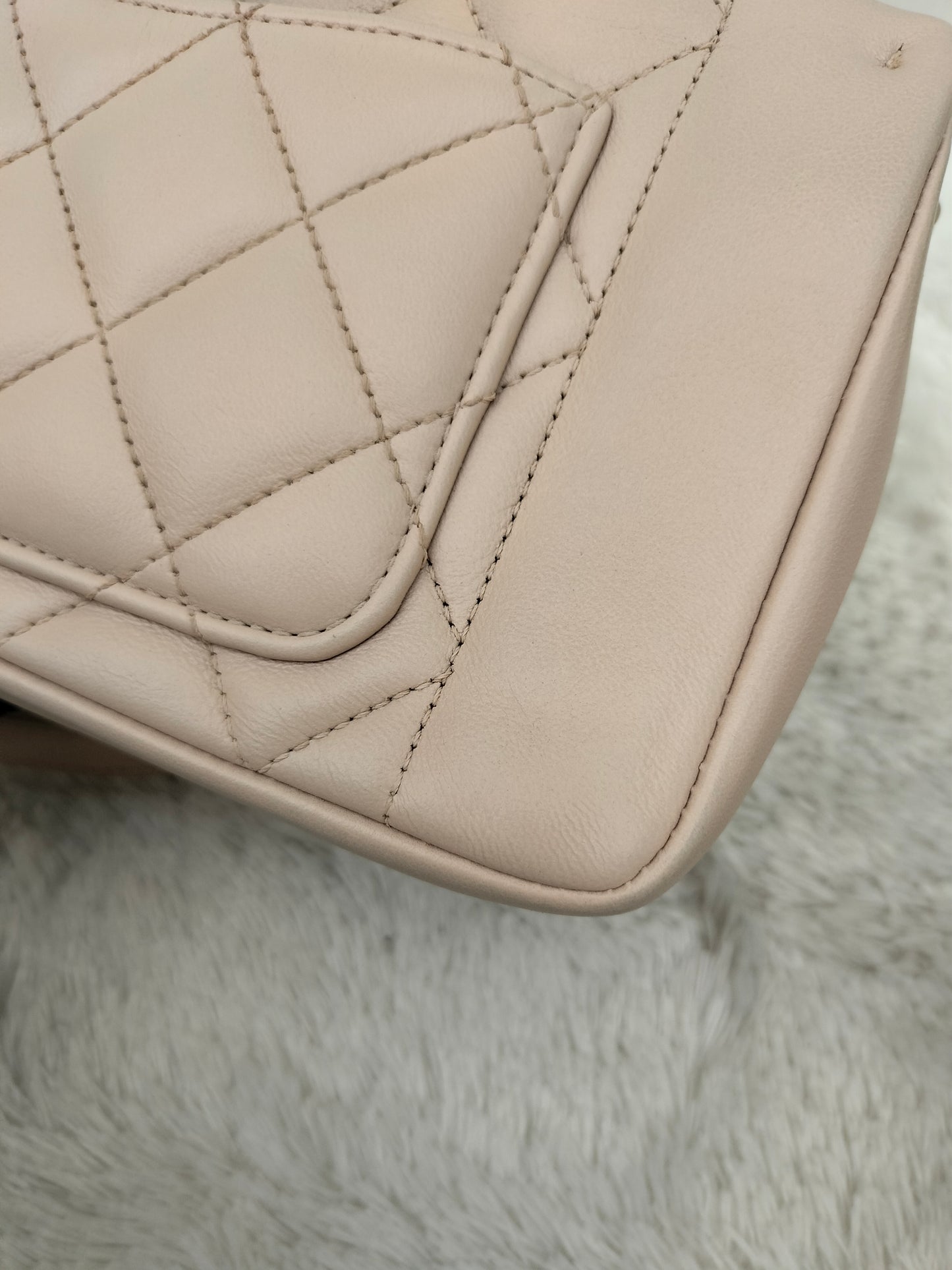 Chanel Diana Flap Small Lamb Light Beige GHW #20