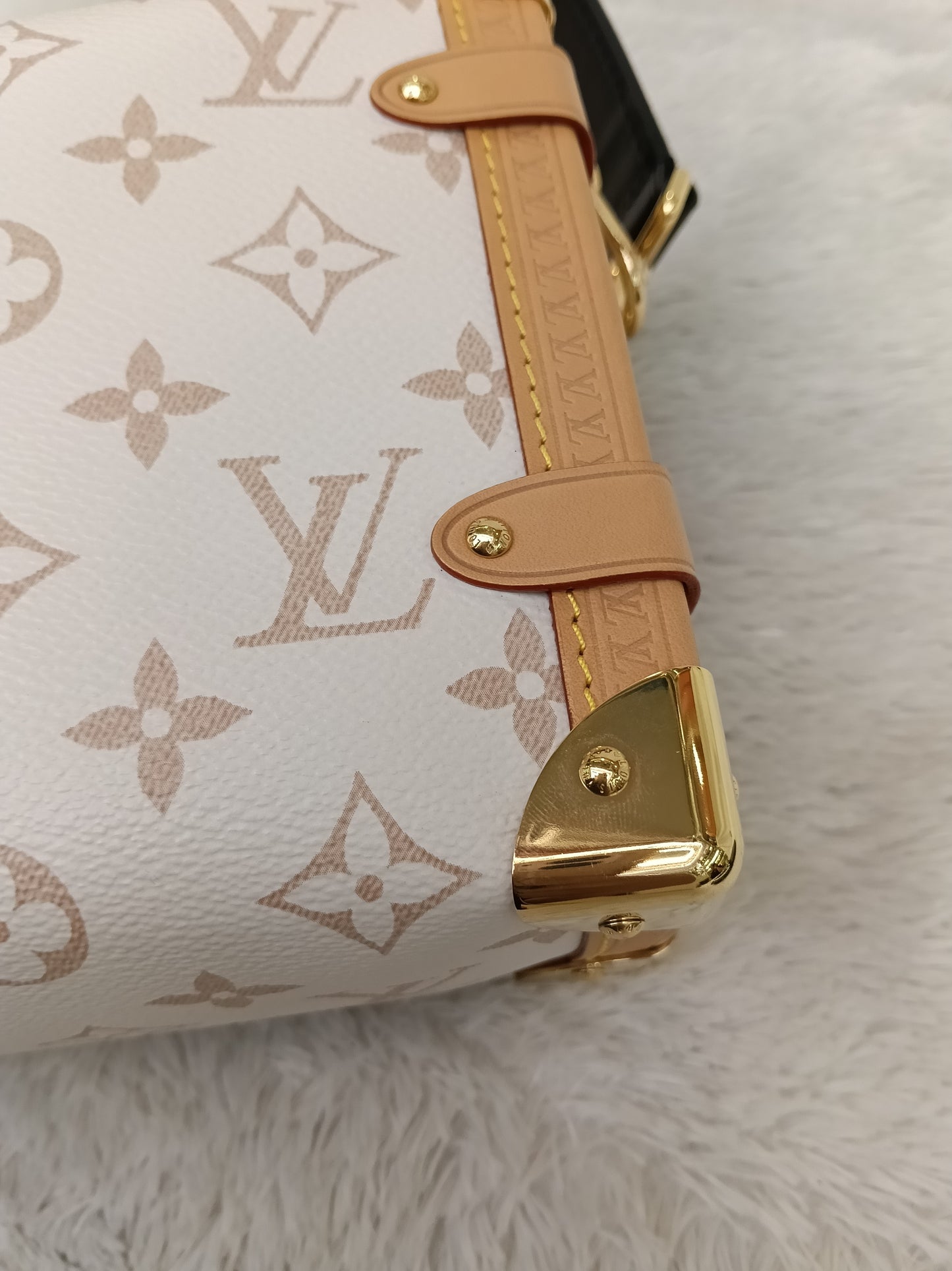 LV Side Trunk MM Monogram Dune (CHIP)