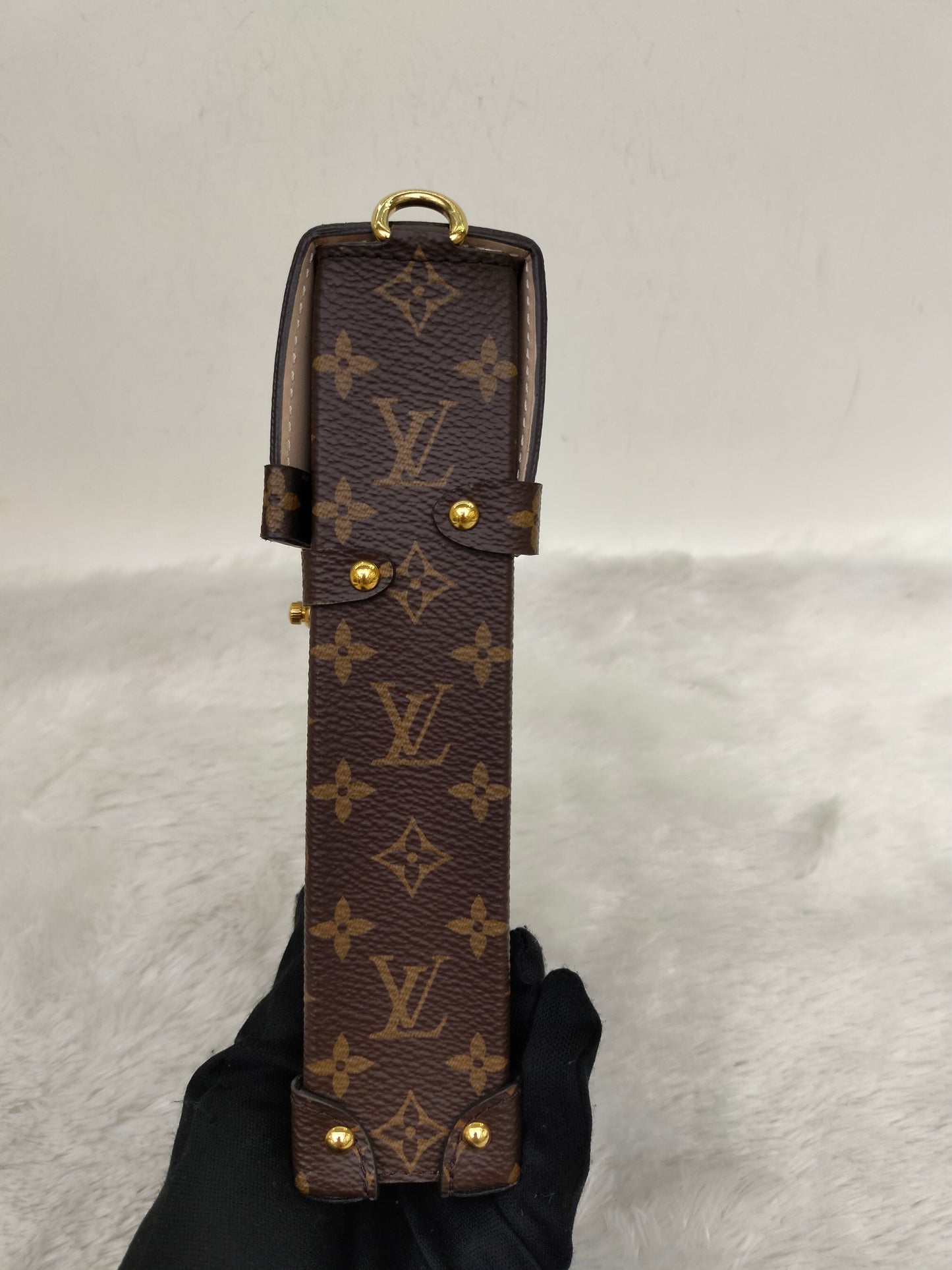 LV Pochette Trunk Vertical Monogram Reverse 2019