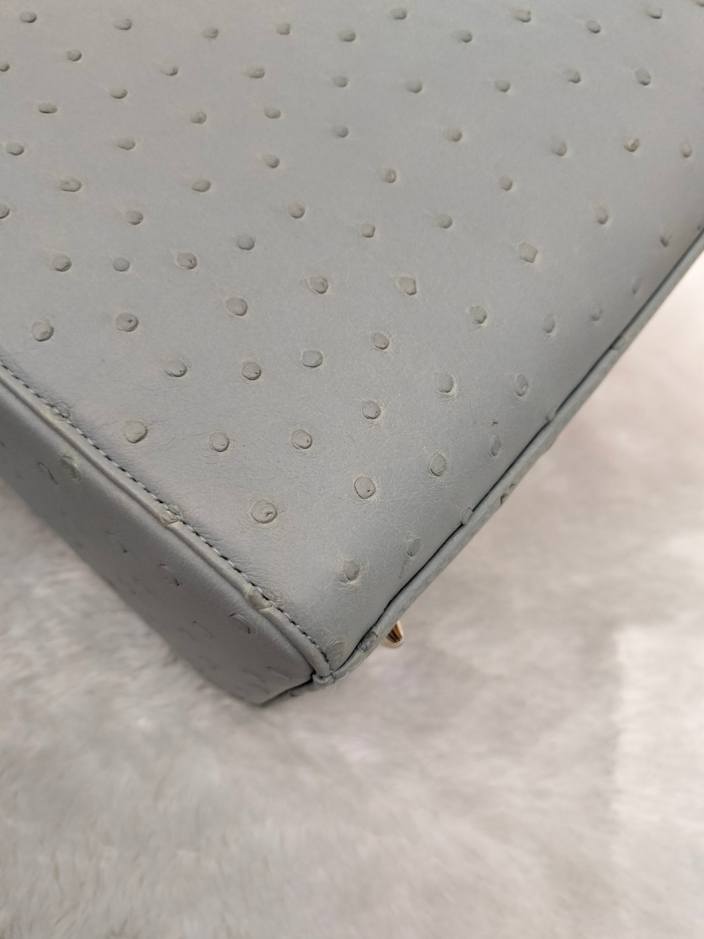Lady Dior Medium Ostrich Baby Blue SHW 2017