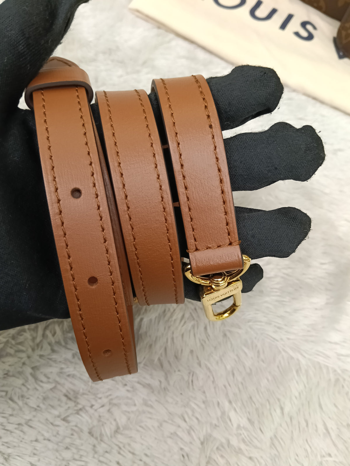 LV Loop Hobo Monogram Reverse (CHIP)