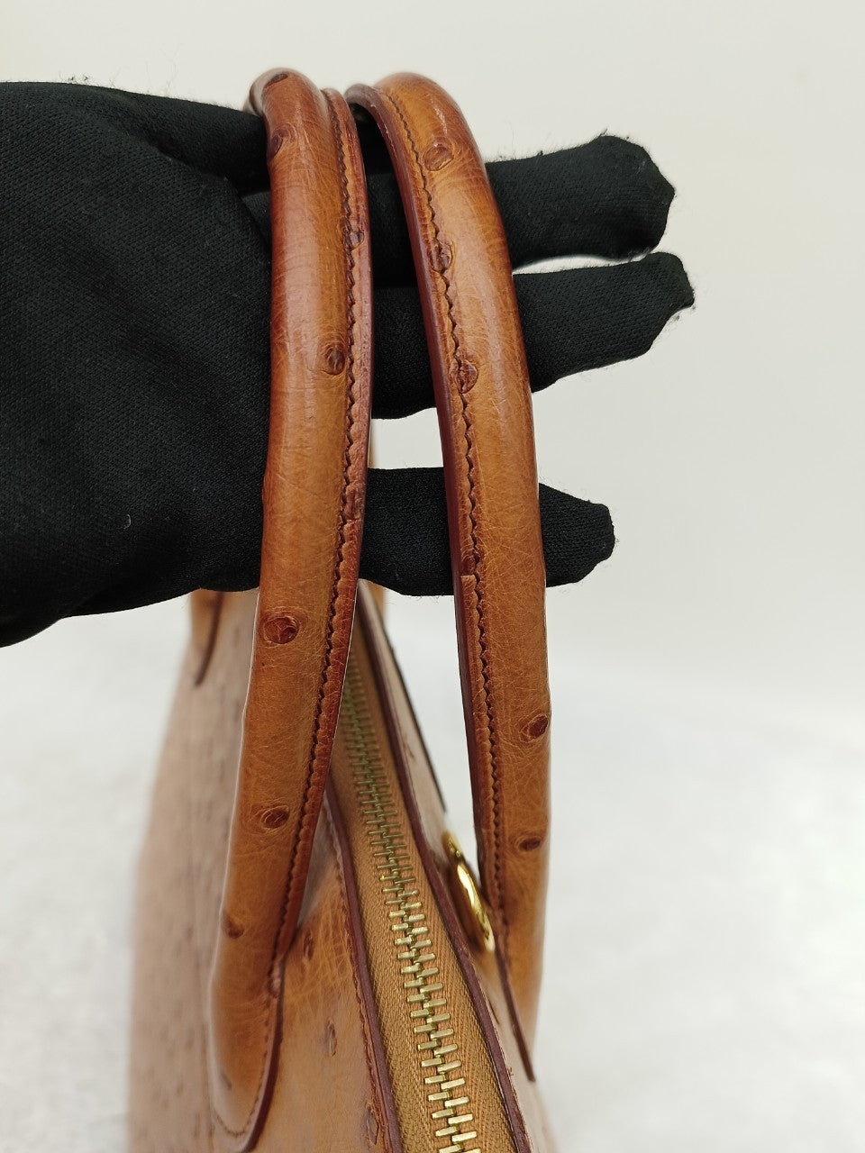 Bolide35 Ostrich Chestnut GHW #A square