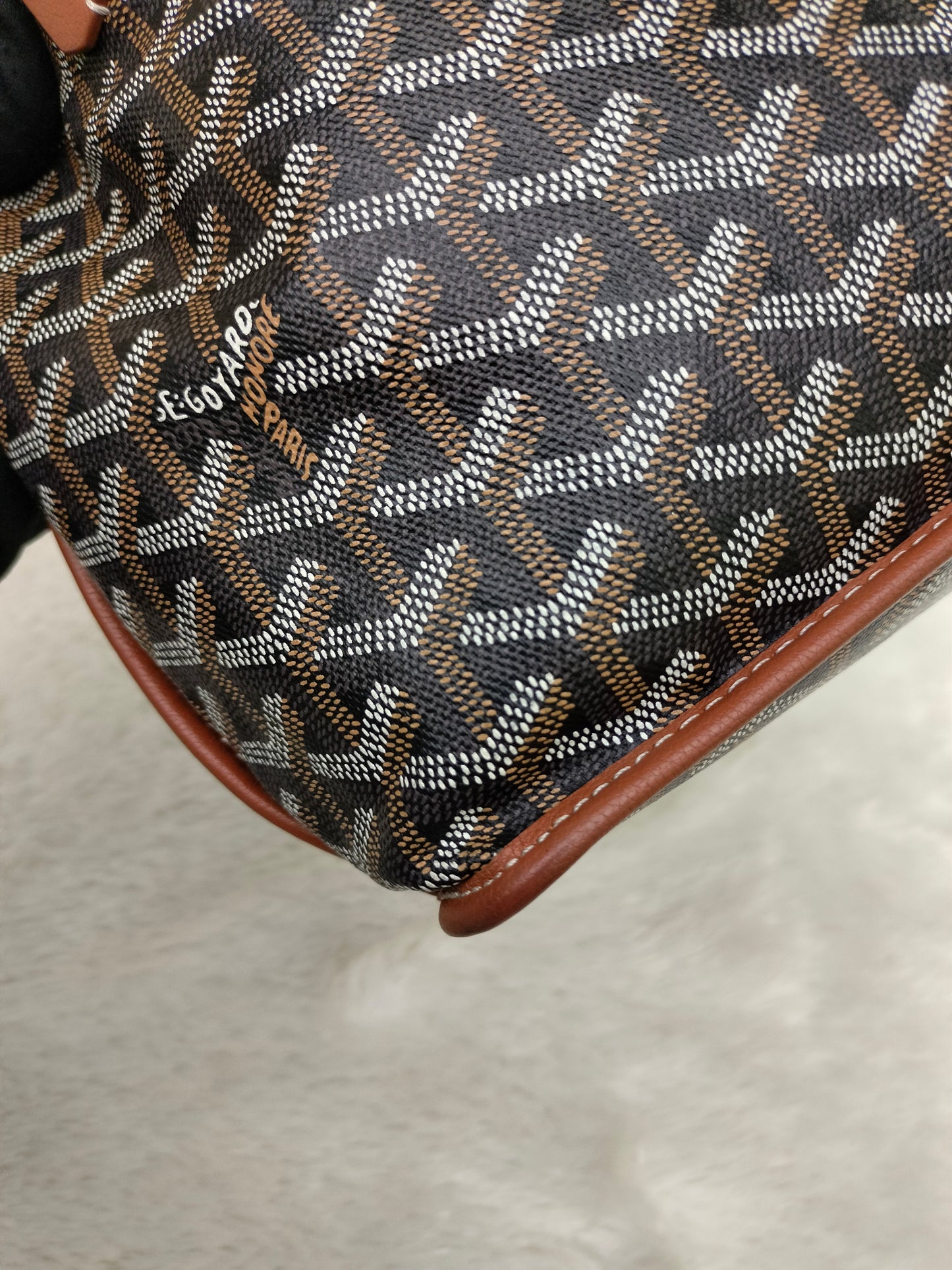 Goyard Anjou Mini Black Tan